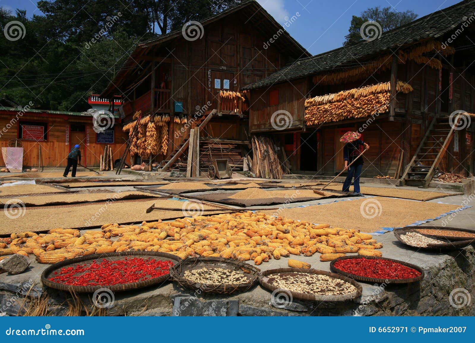 Country in autumn. The view of country in Guizhou of China in autumn .