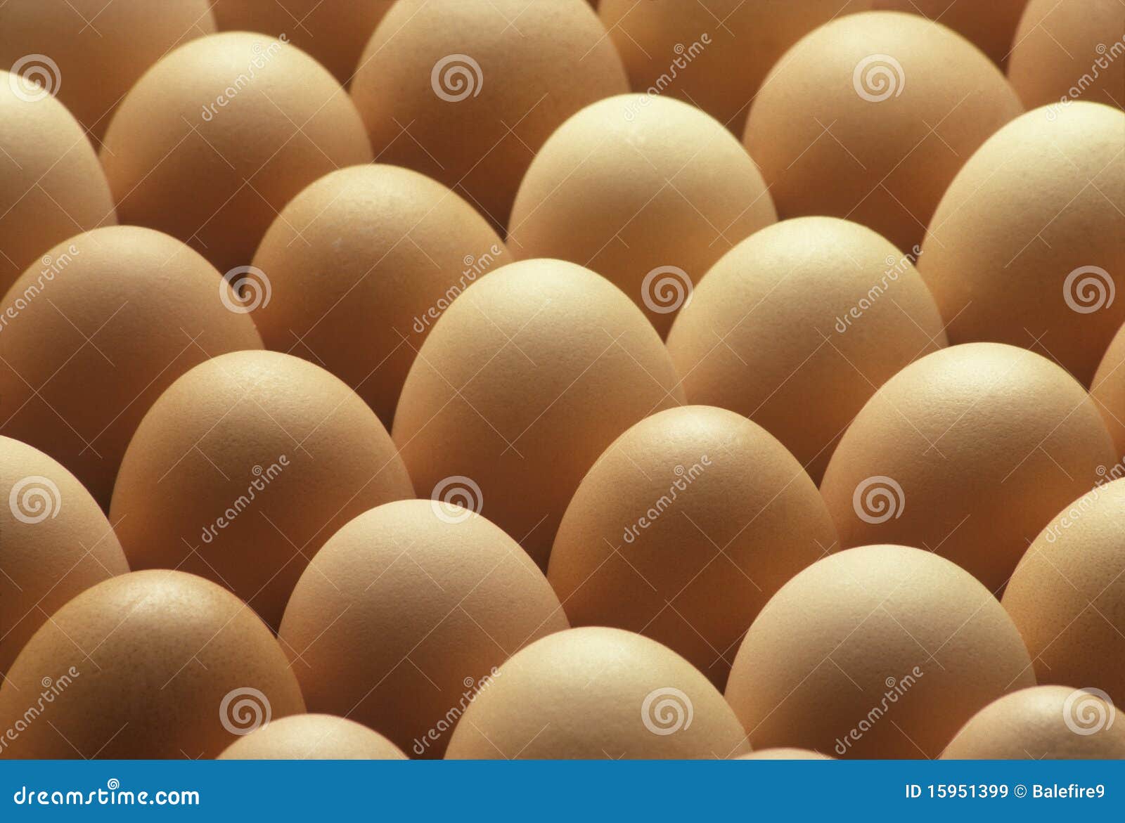 country brown eggs lined up