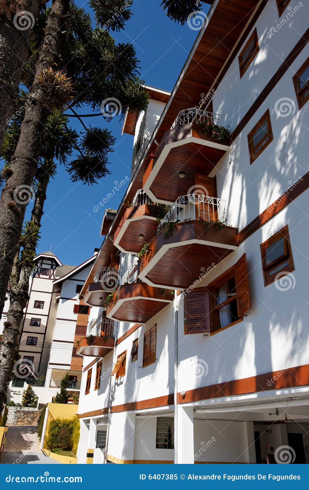 country building pine trees campos do jordao