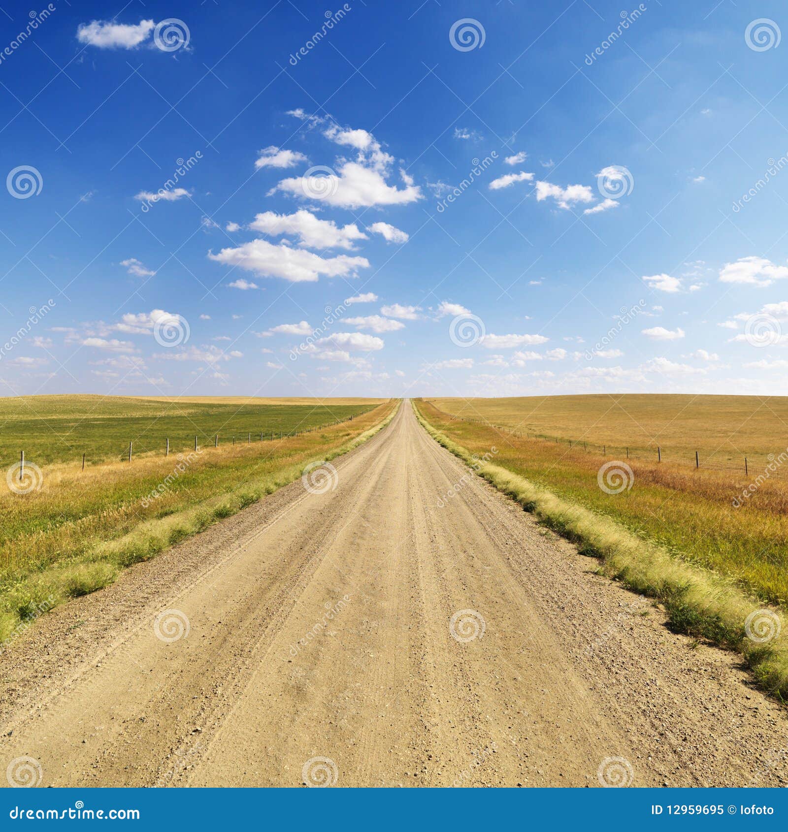 Country Dirt Road Between Fields Stock Image Image 12959695