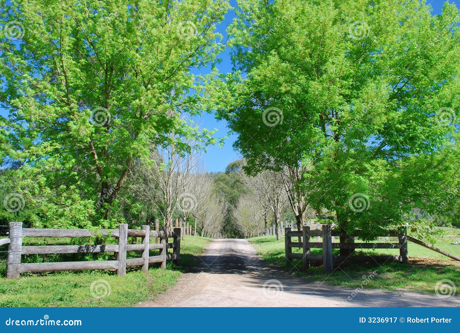 Country Driveway Royalty Free Stock Photography - Image ...