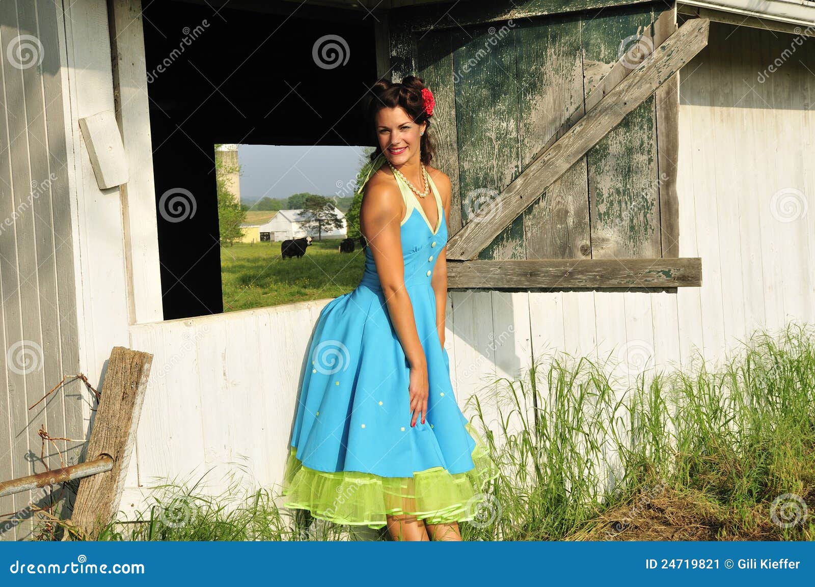 Country Farm Pin Up Girl Stock Image Image 24719821