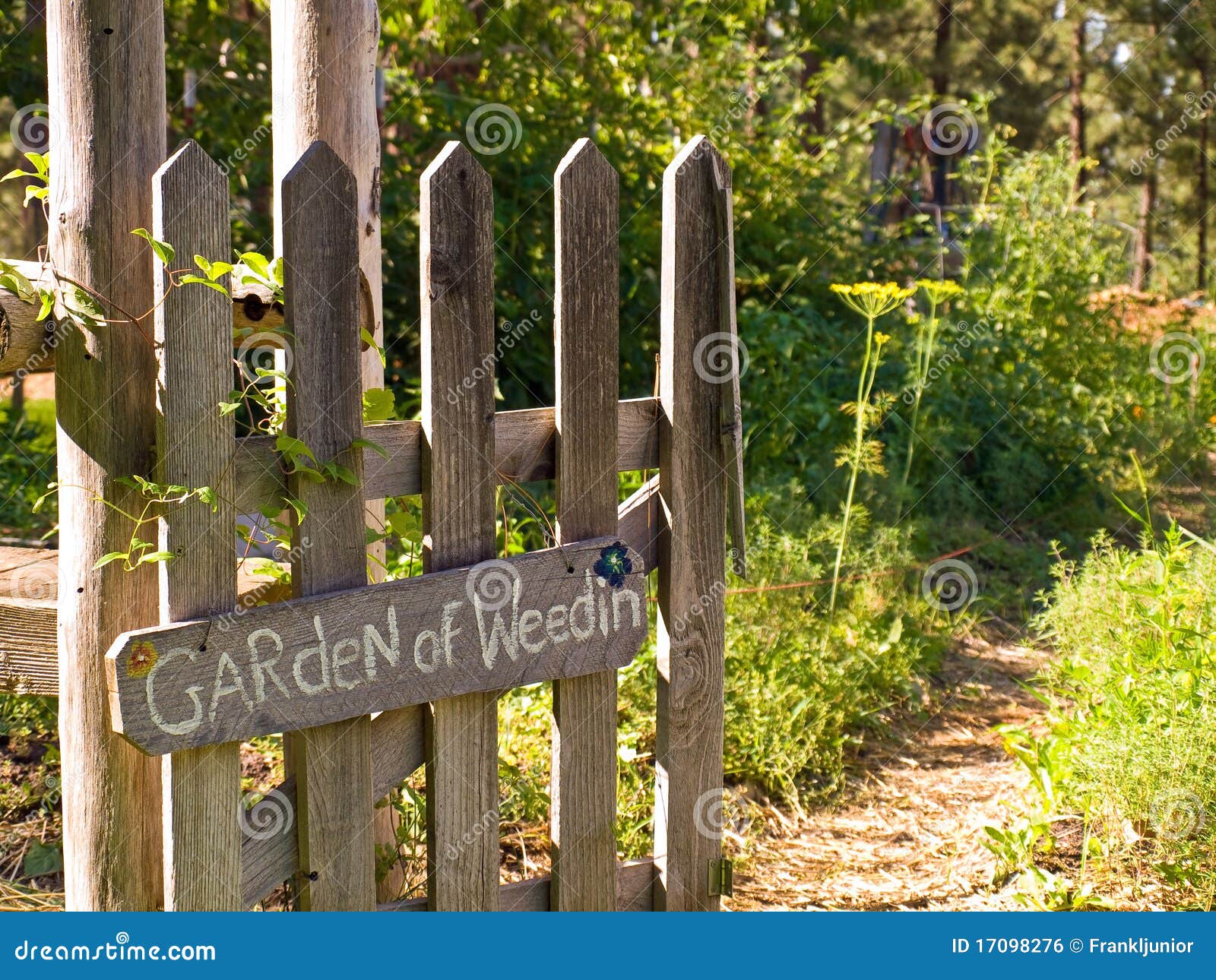 Country Garden Gate Leading To The Garden Stock Photo Image Of
