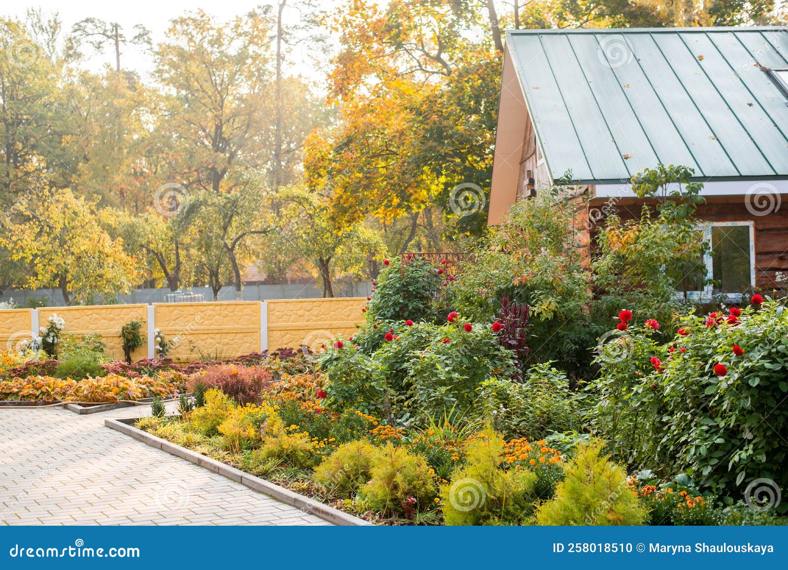 Country House in Autumn. a Path with Flowers and Fruit Trees Stock