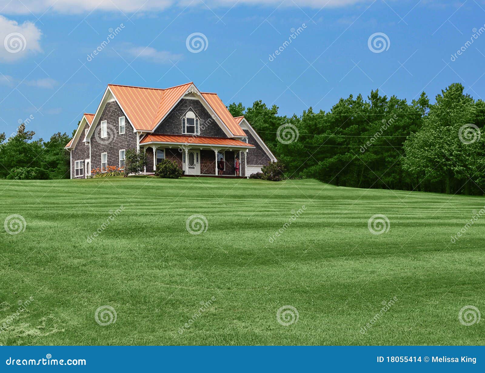 country house and lawn