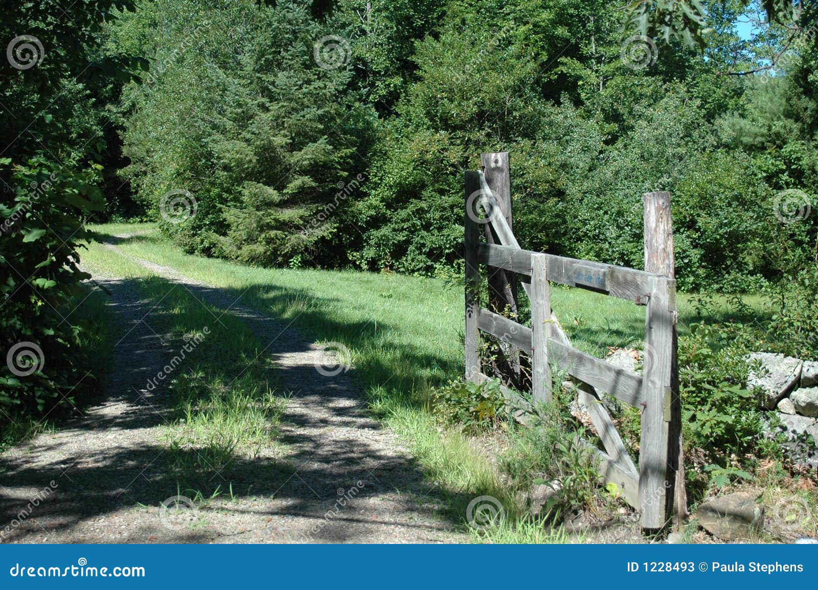 Country lane stock image. Image of lane, driveway, path 1228493