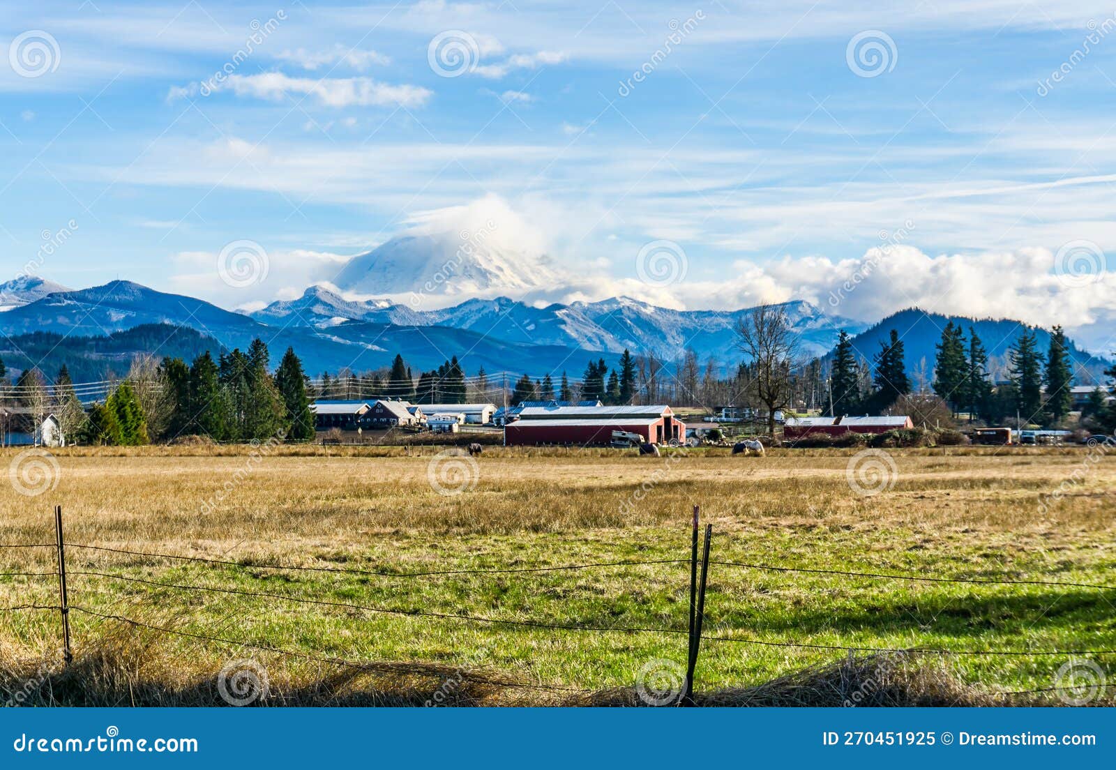 Country mountain scene view of Mount Rainier