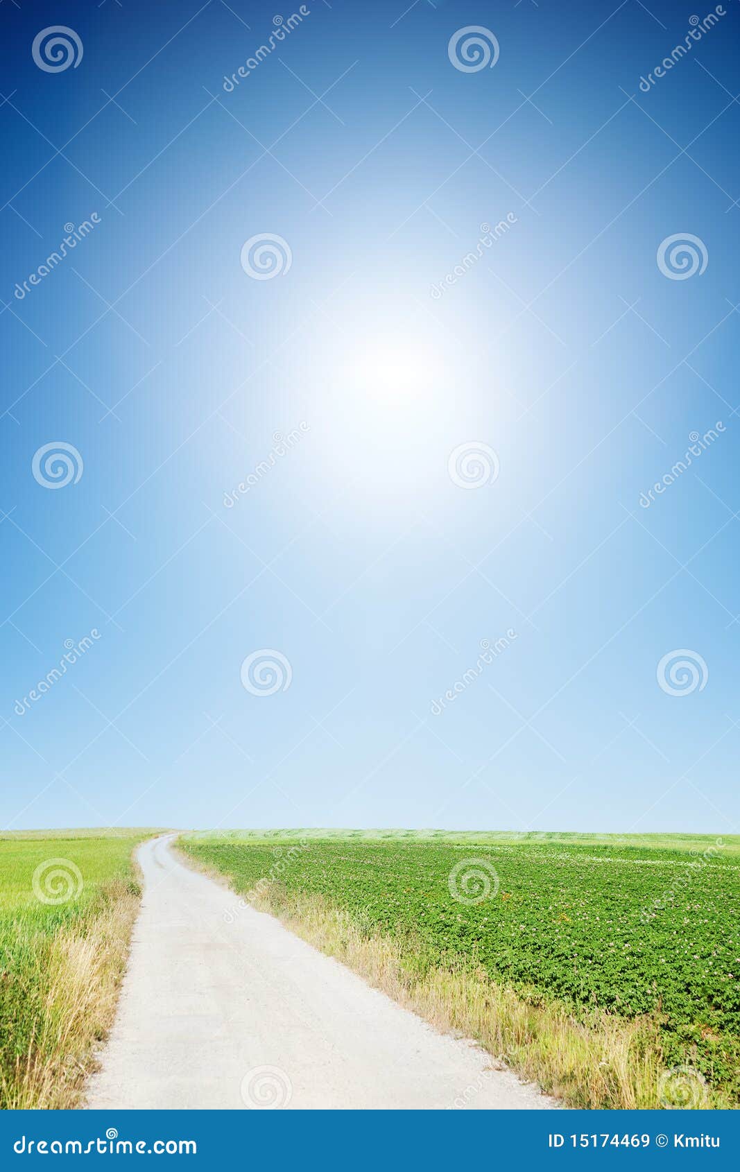 country road with cloudless sunny sky