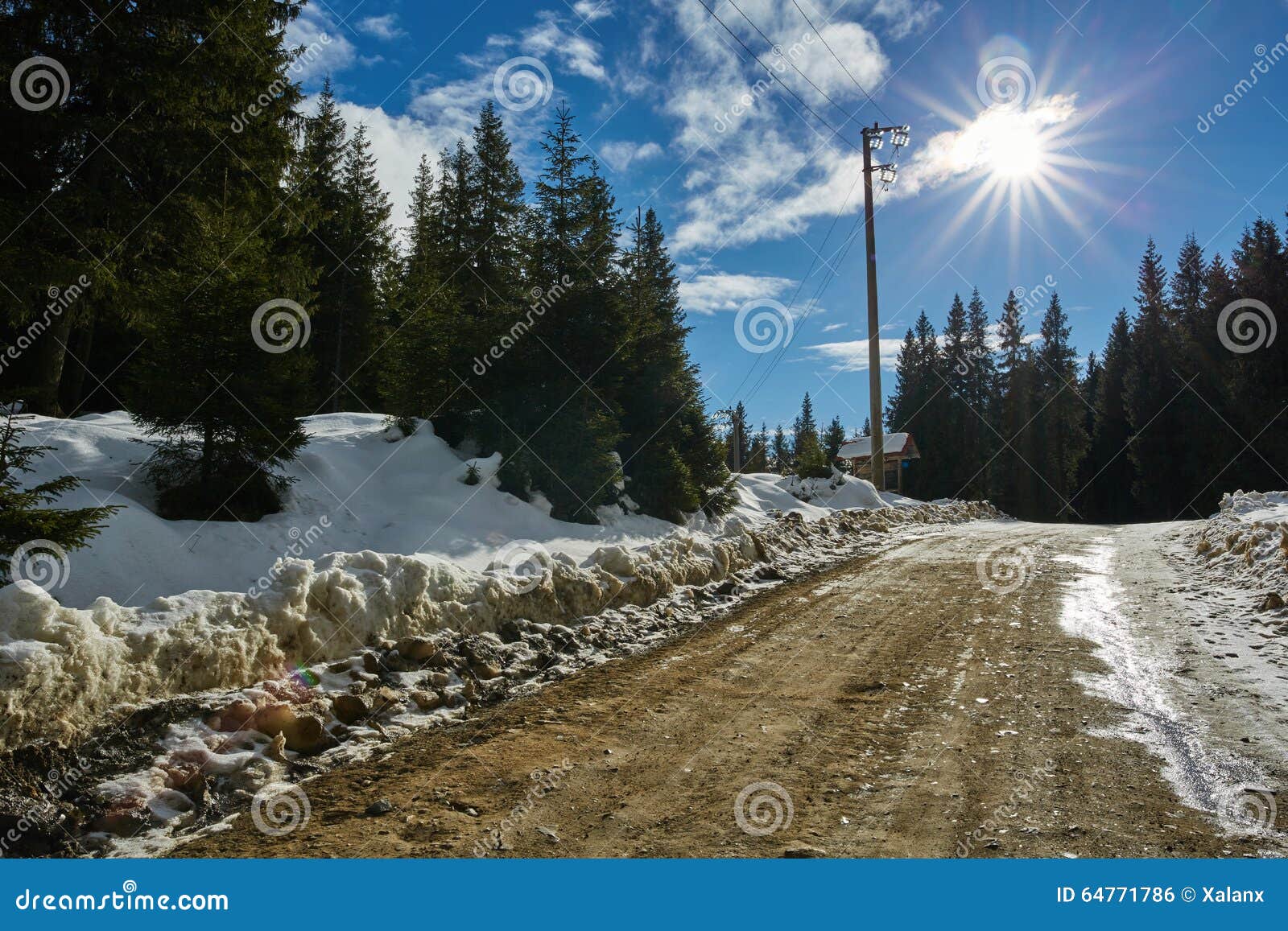 Country road through mountain forest. Country road through fir forest on the mountains in wintertime