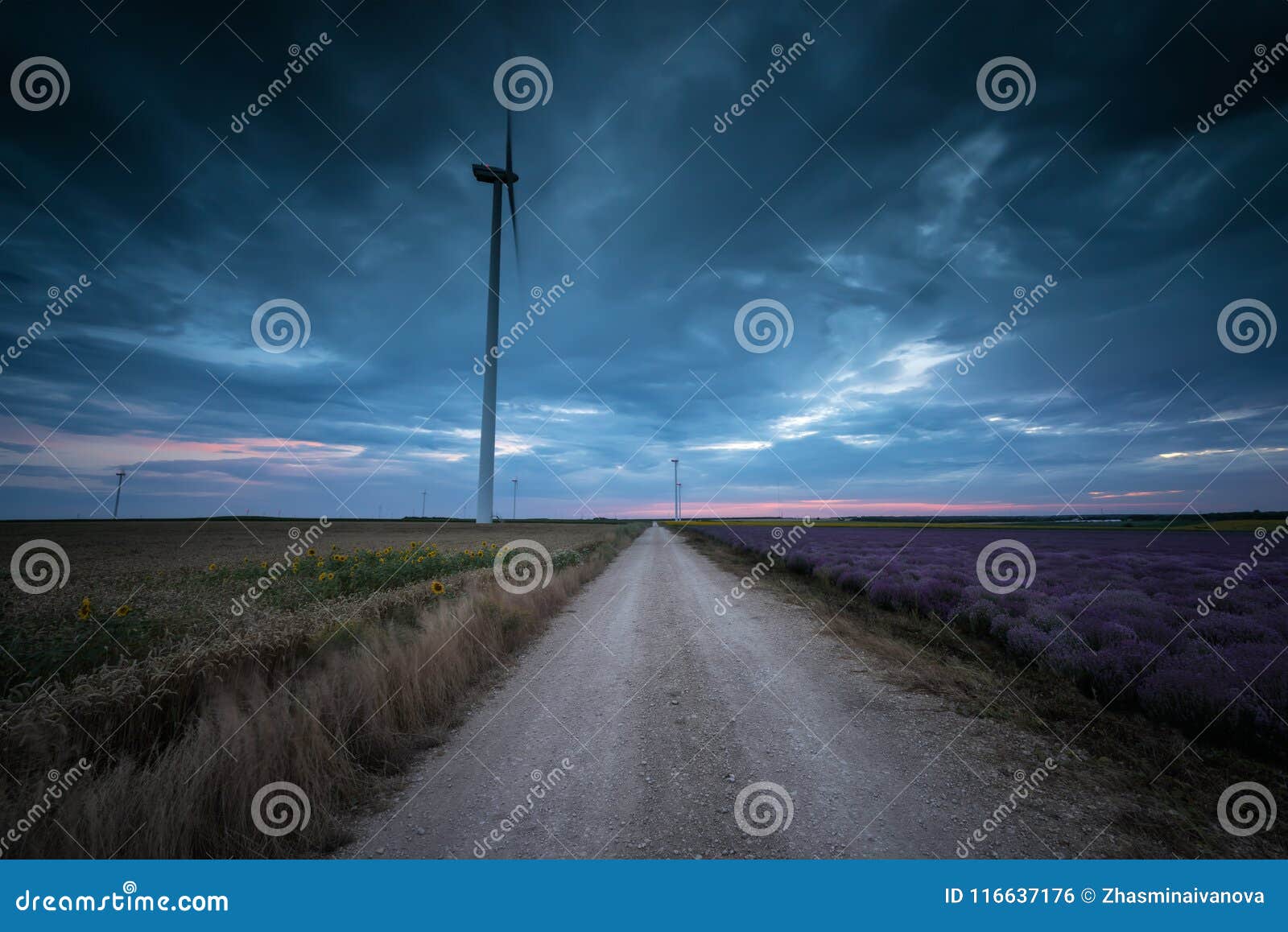 Country Road In Summer Evening Stock Photo Image Of Blue Beauty