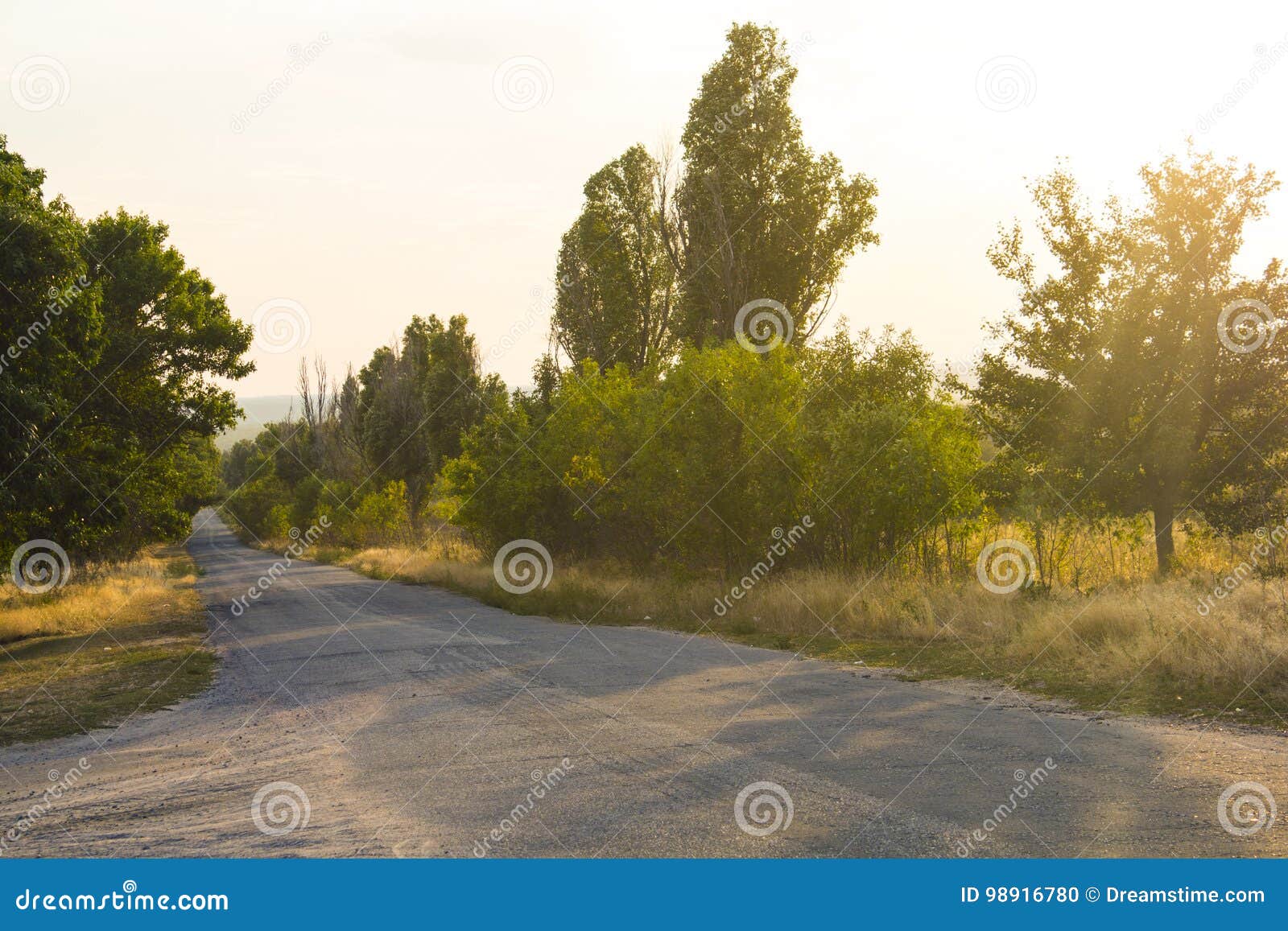 Country Road In The Summer Evening Stock Photo Image Of Route