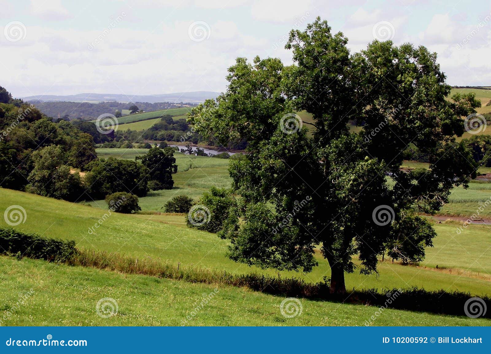 Country Scene in Devon, England Stock Photo - Image of tree, valley:  10200592, image size:1600x1154