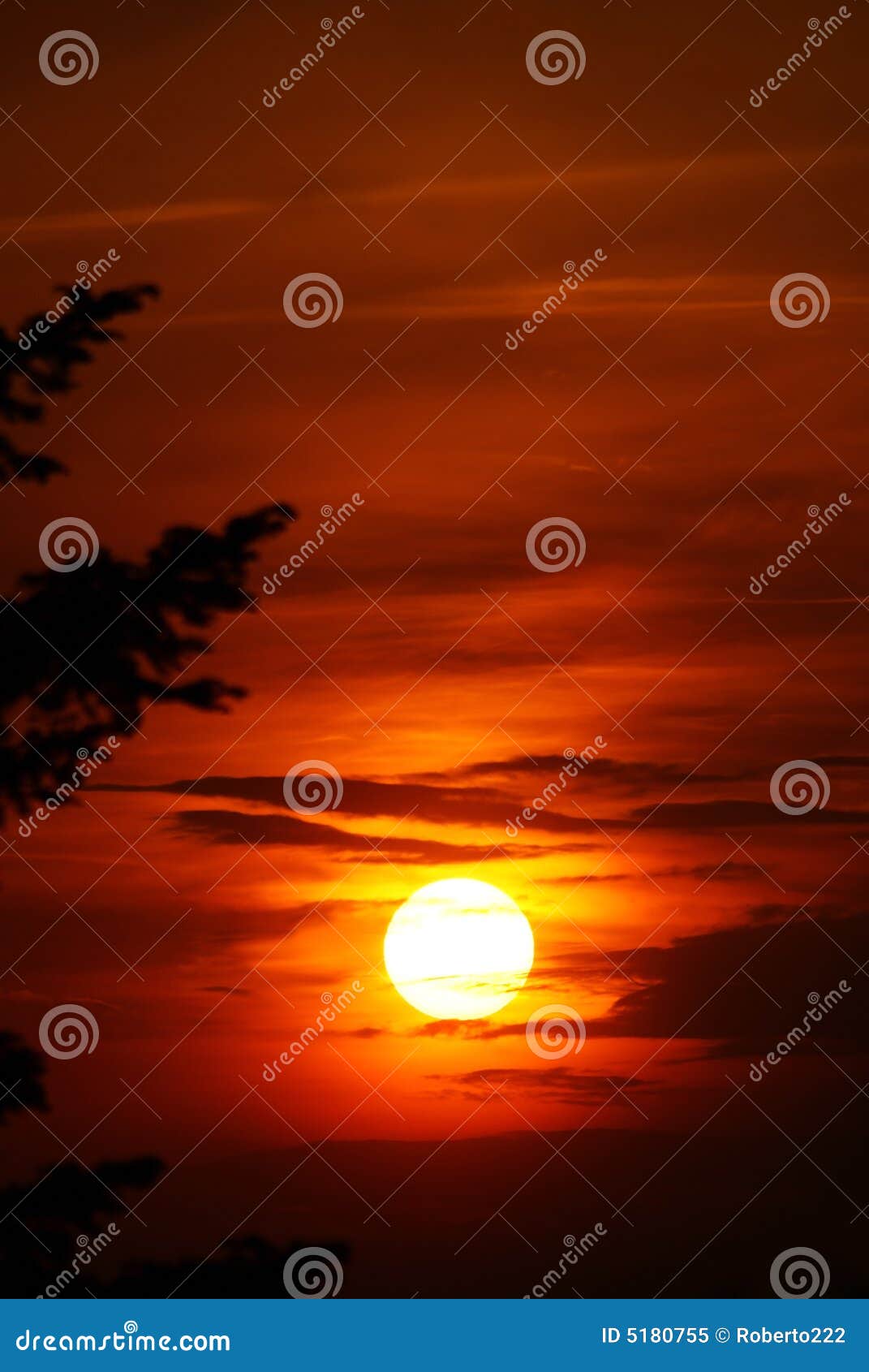 Country sundown. Bright golden sunset with the branches of a tree in the left front