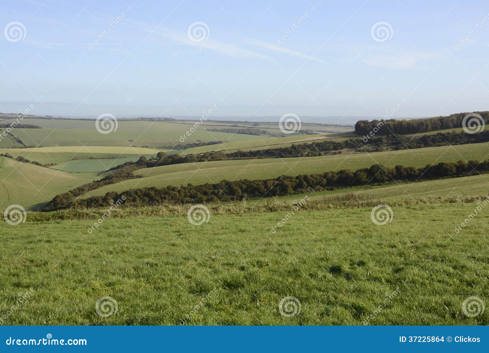 Picturesque houses in the village of Falmer East Sussex are reflected in  the village pond Stock Photo - Alamy