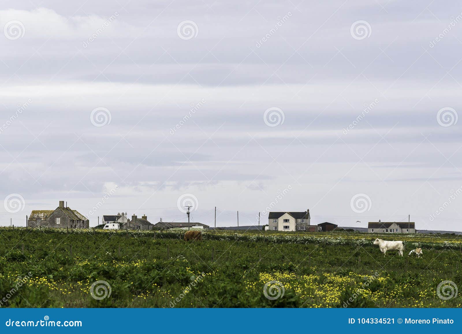 countryside landscape in an area around john o` groats