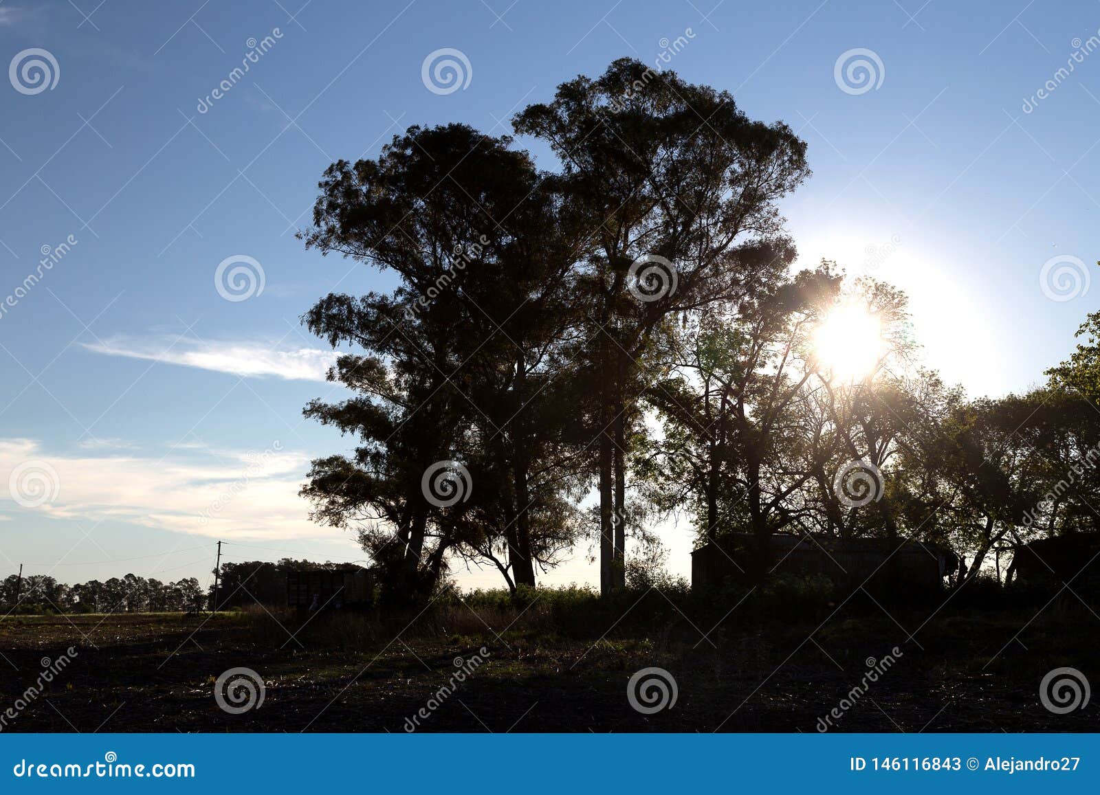 countryside landscape. in argentina, near junin town.