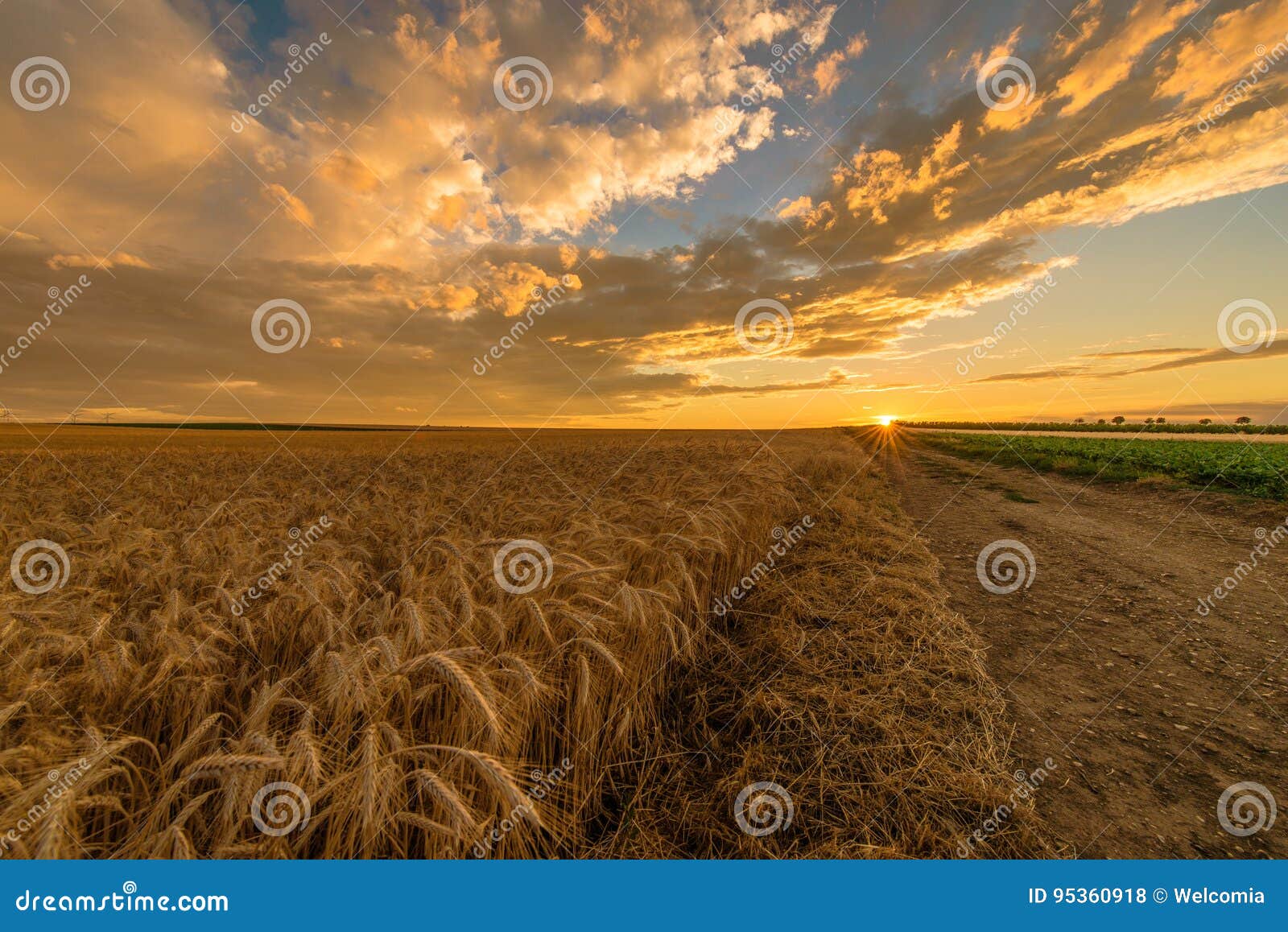 countryside scenic sunset