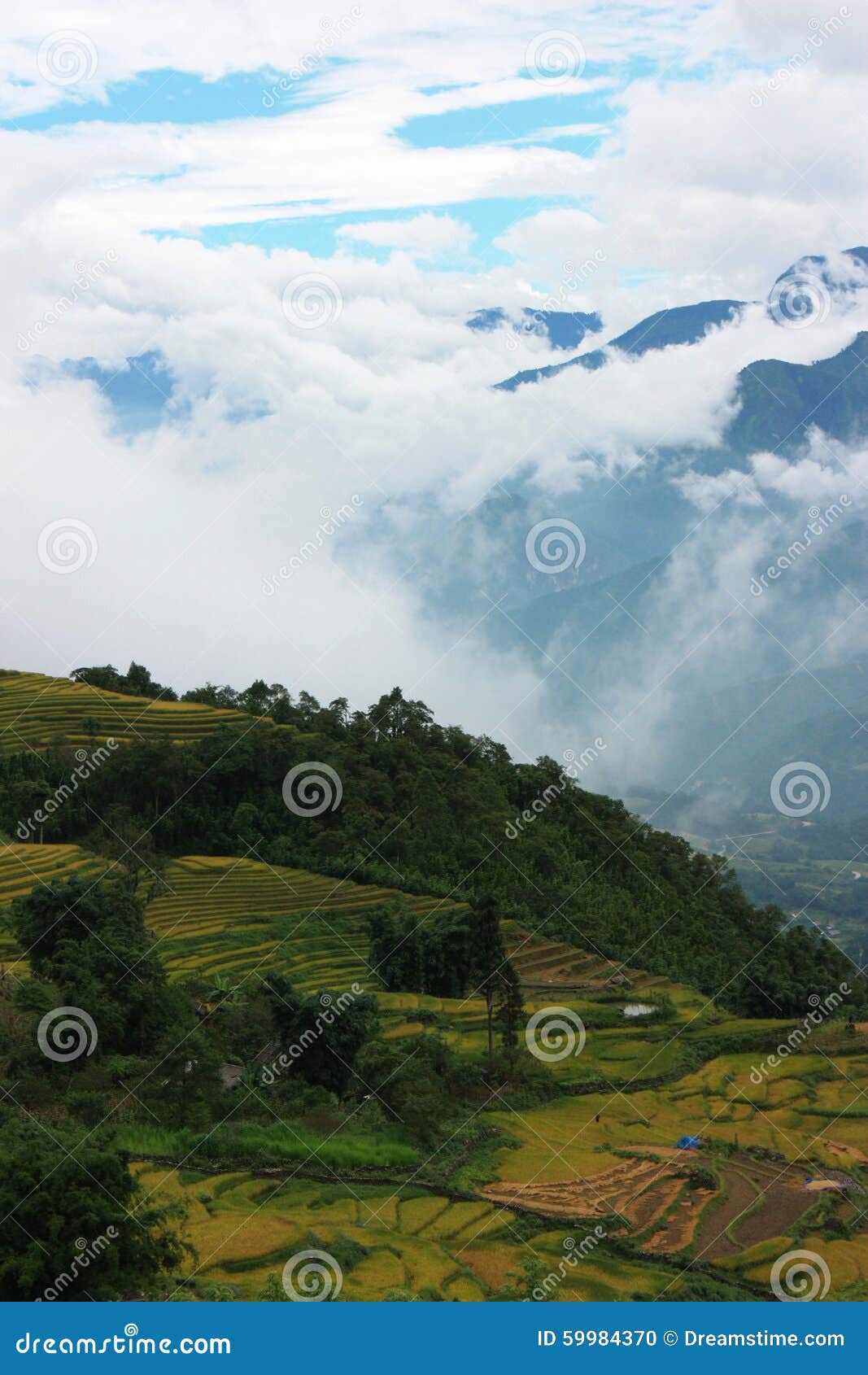 countryside in vietnam