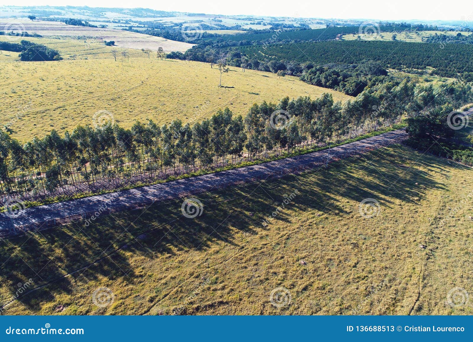 aerial view of rural scene and beautiful landscape.