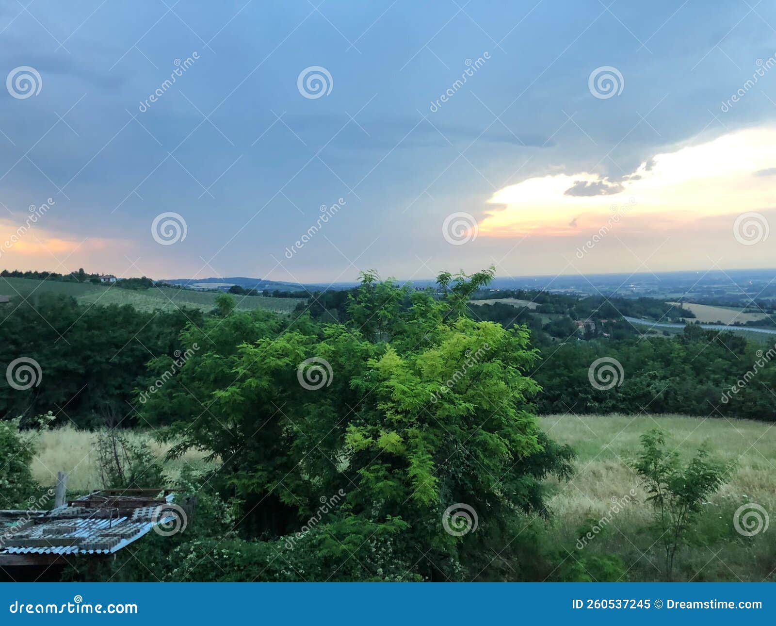 countryside view summer