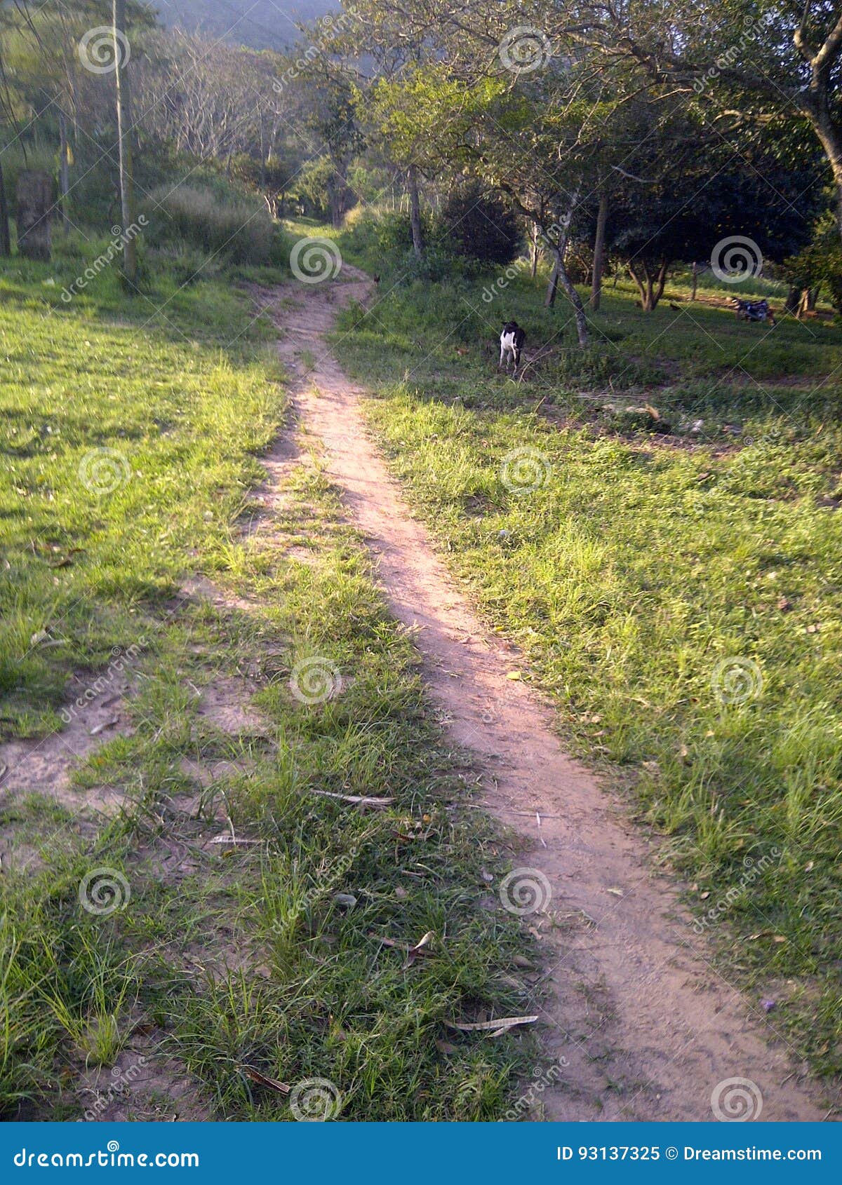 countryside walking path