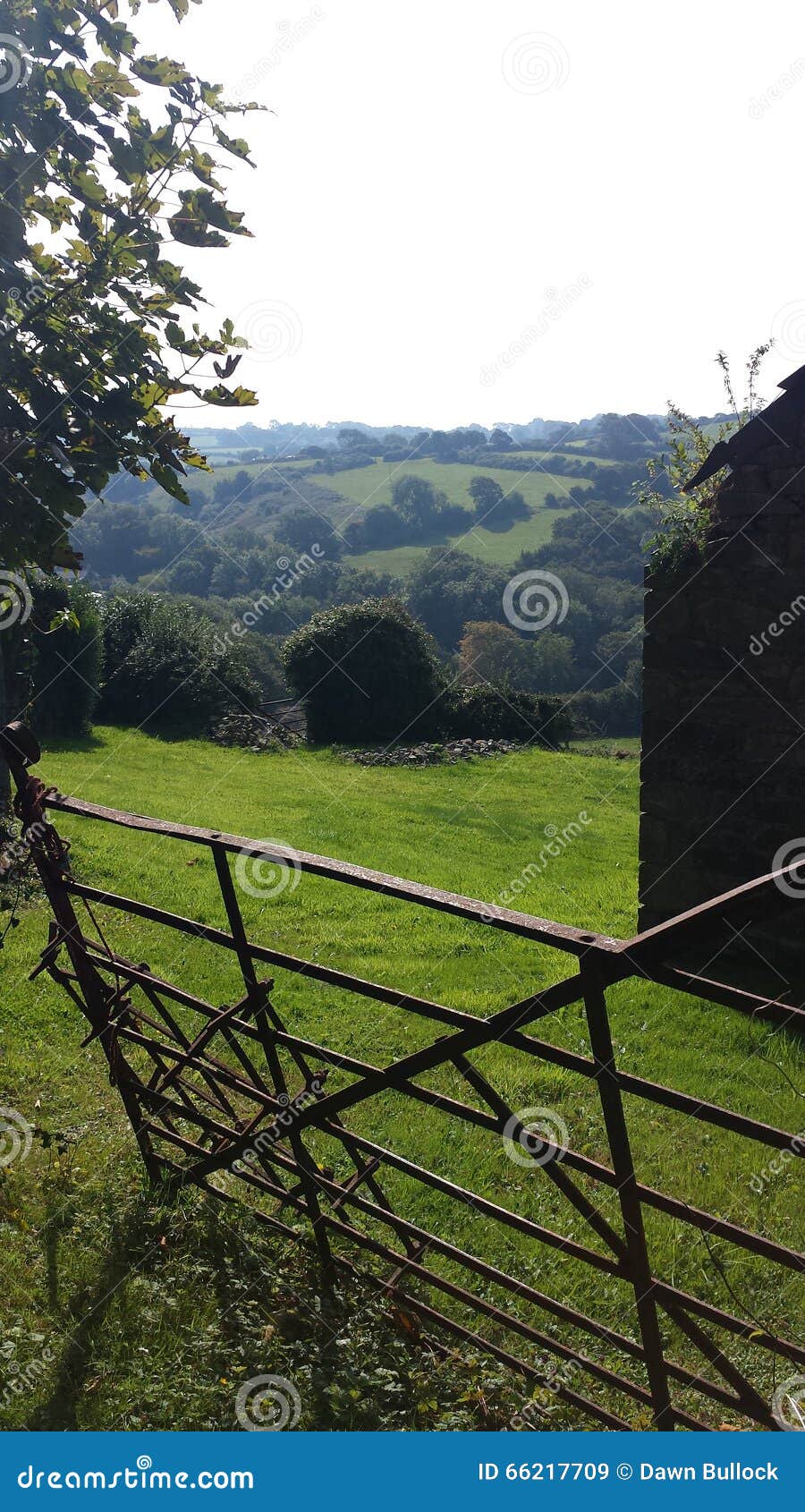 County gate stock image. Image of farm, overlooking, field 66217709