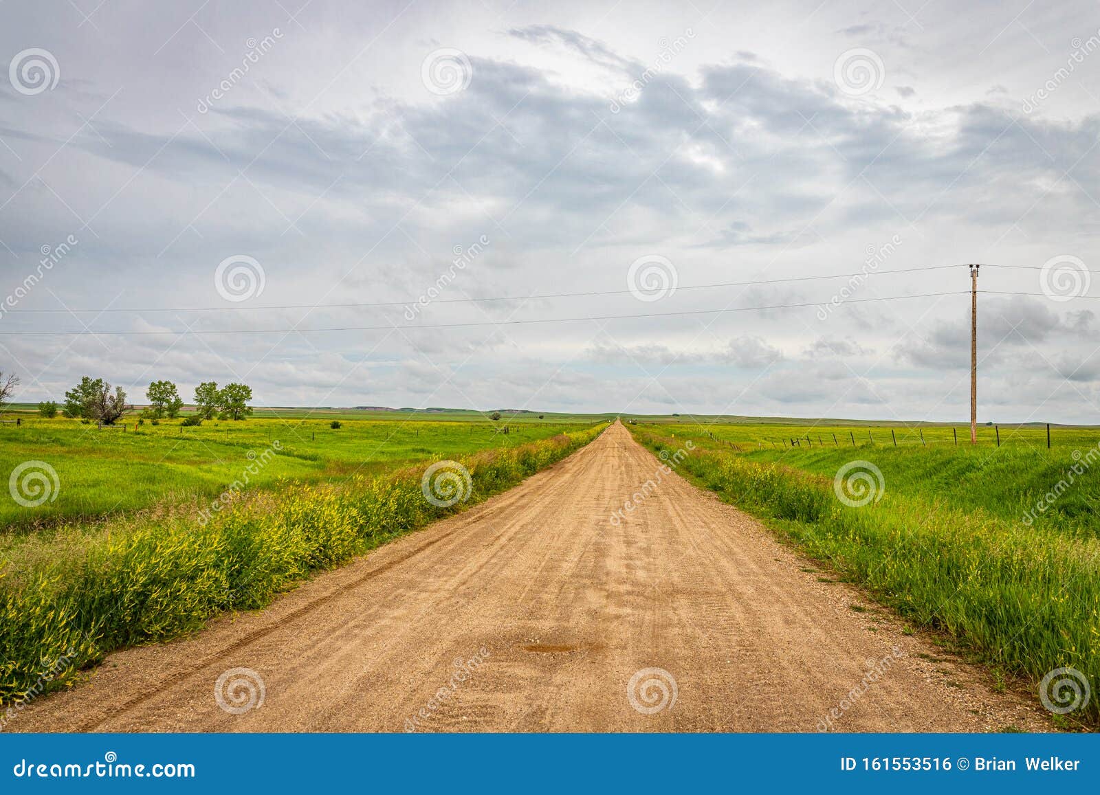 County Road 11 Old NE Road stock photo. Image of dramatic 161553516