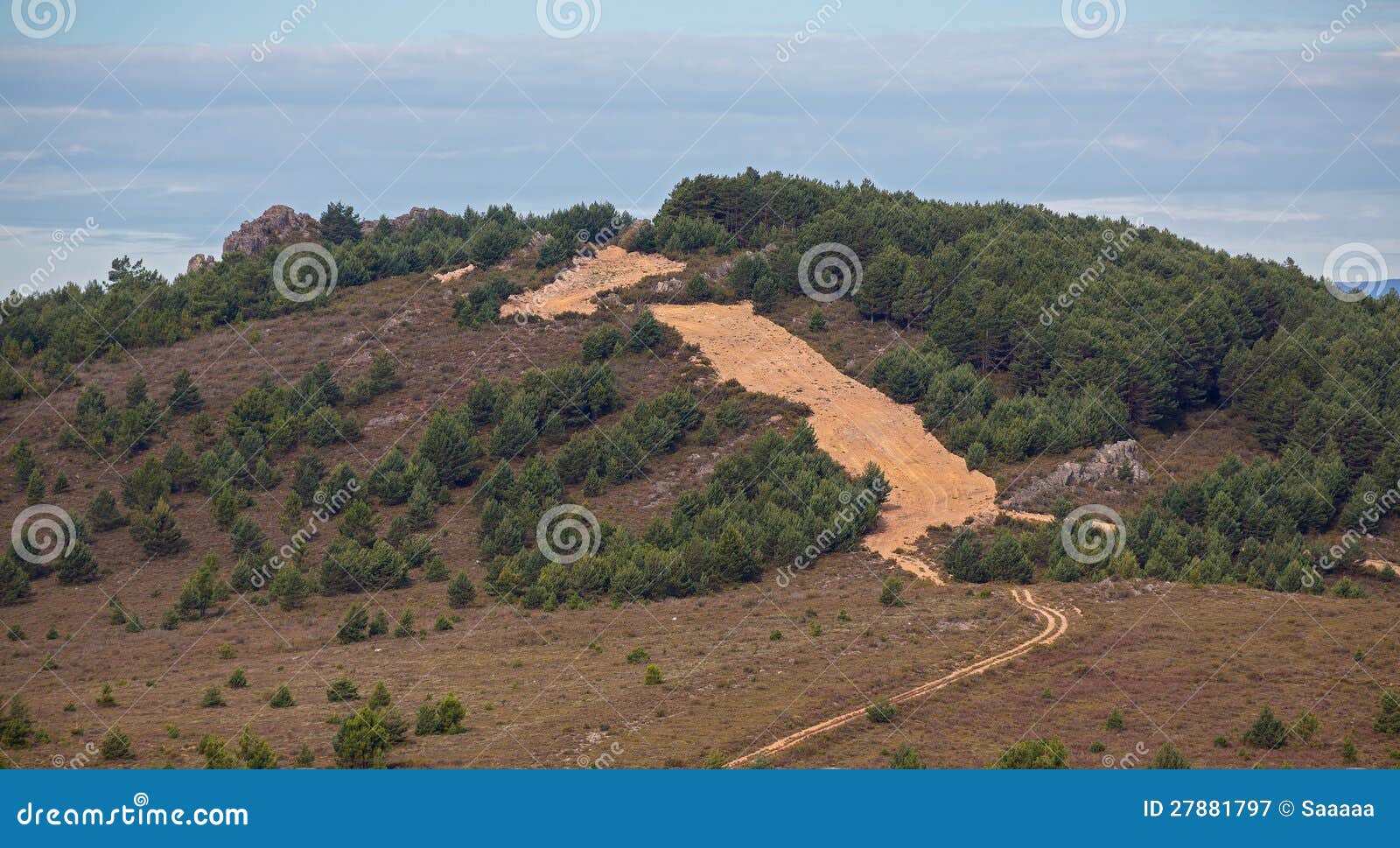 Coupefeu Photographie stock libre de droits Image 27881797