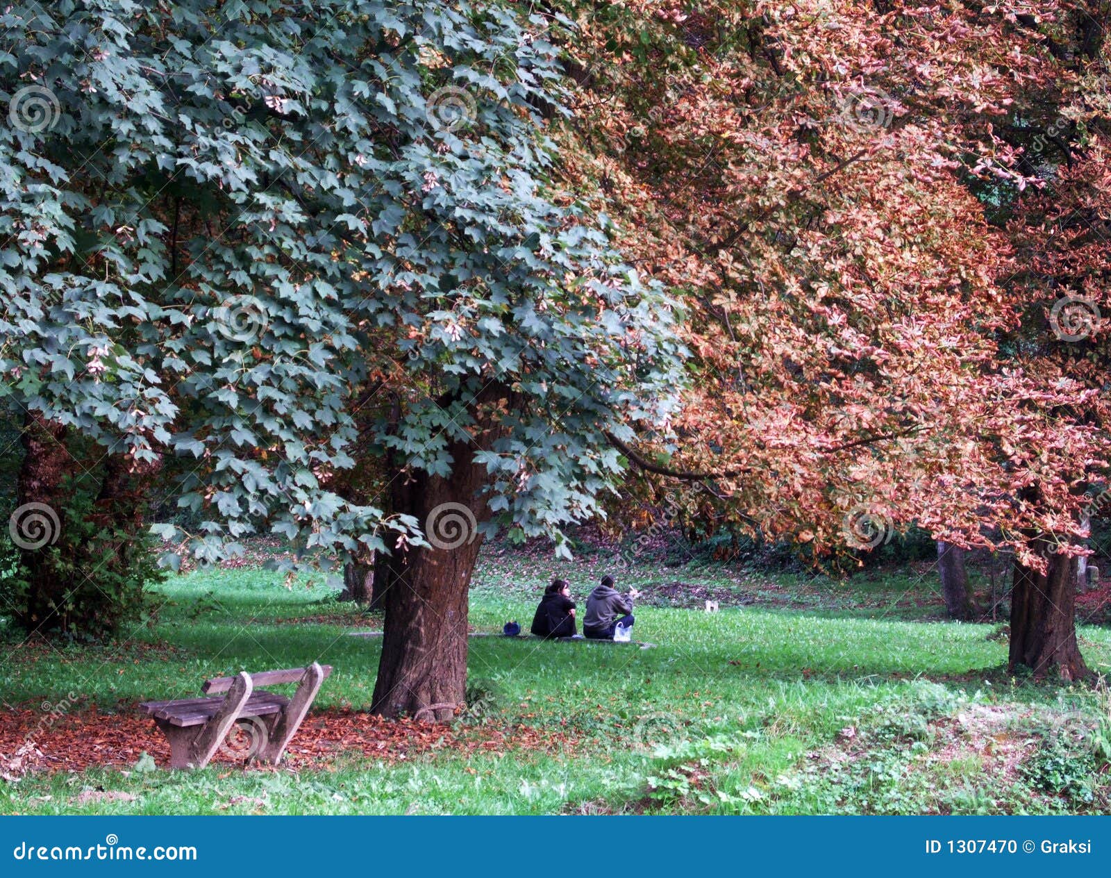 Couple. Young cuople in the autumn season colored park