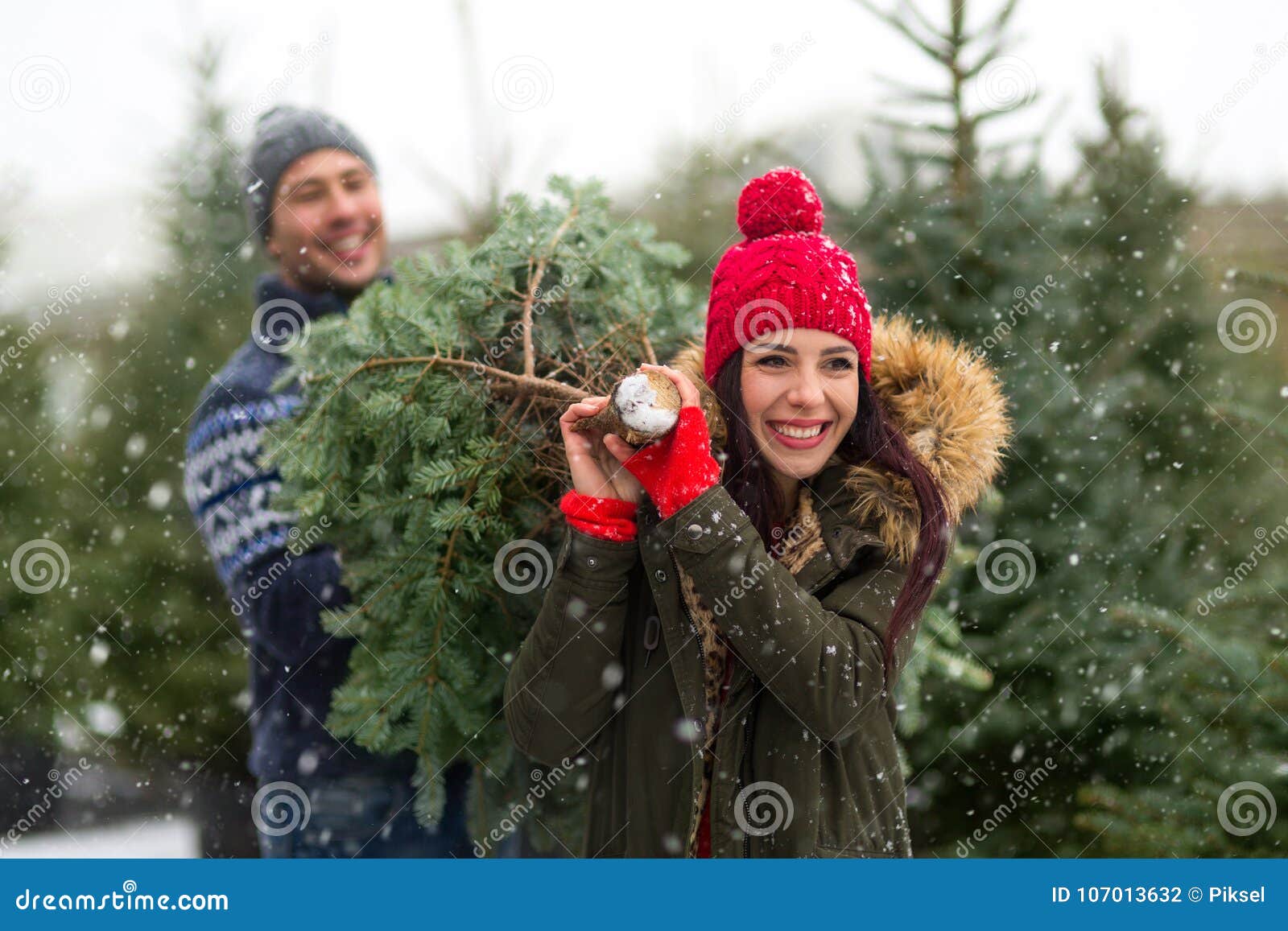 Couple Buying Christmas Tree Stock Photo Image of enjoying Buying A Christmas Tree