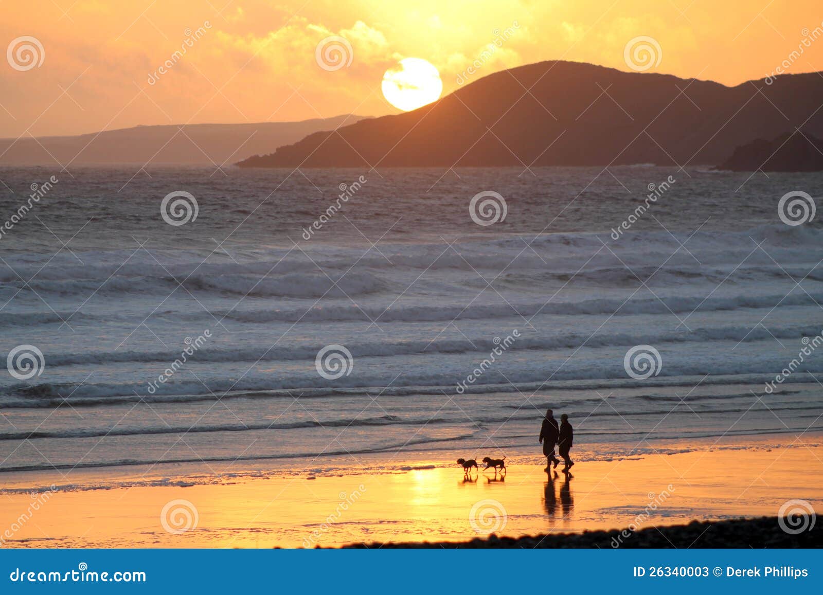 couple and dogs with beach sunset