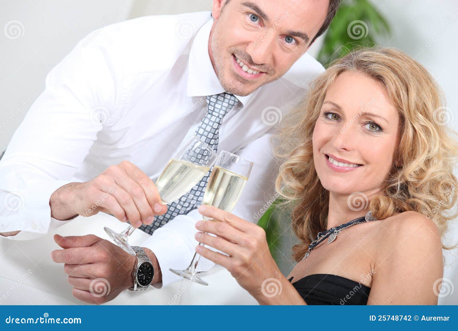 Couple drinking champagne stock photo. Image of landscape 25748742