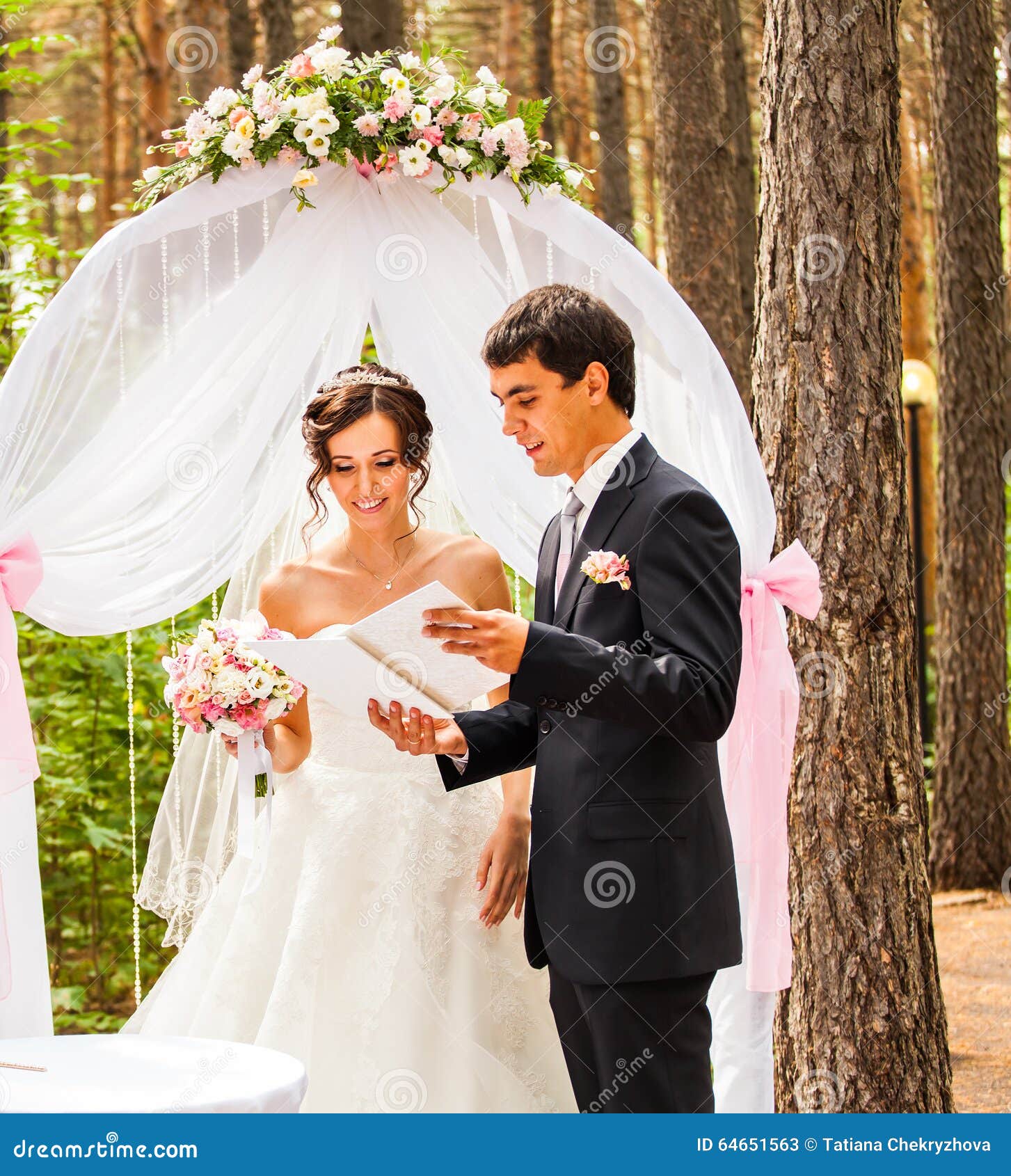 Couple Getting Married at an Outdoor Wedding Stock Image Image of happy, outdoor 64651563