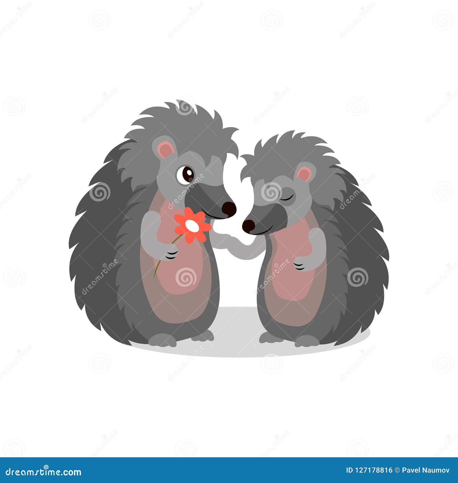 Couple of Hedgehogs, Hedgehog Giving a Flower To Another, Cute Animals Cartoon  Characters Vector Illustration on a White Stock Vector - Illustration of  character, beautiful: 127178816