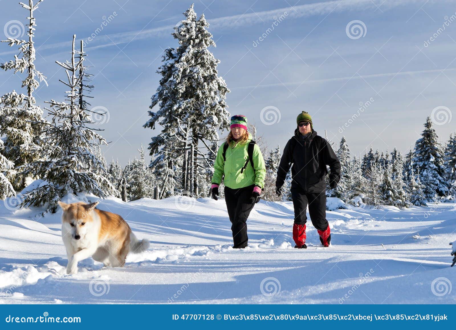 couple hiking with dog in winter mountains
