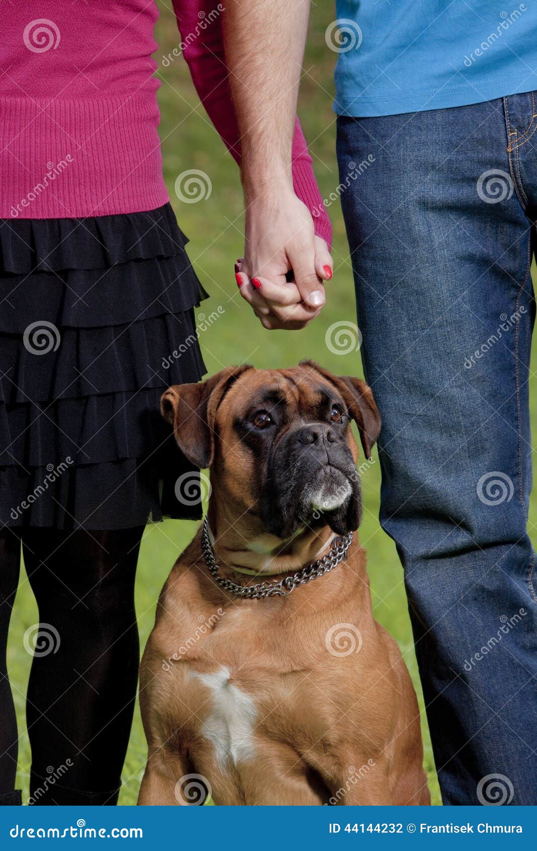 Couple Holding Hands with Their Dog Stock Photo Image of animal