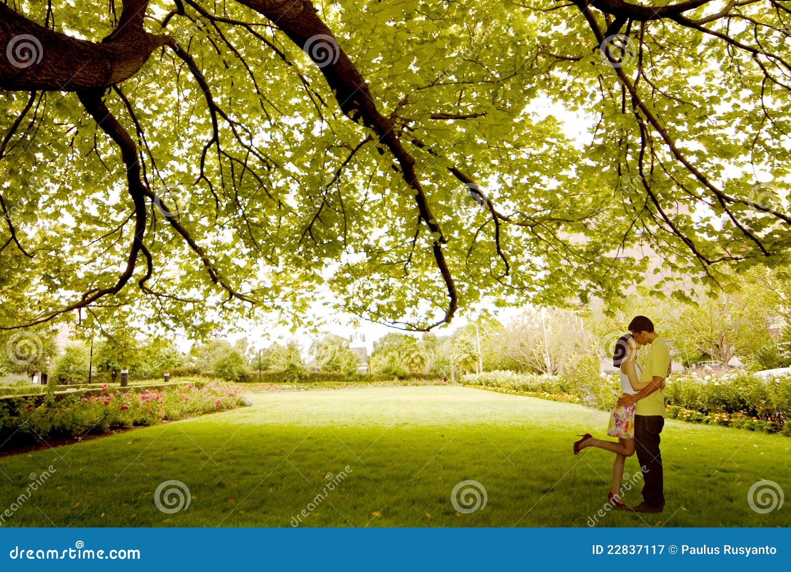 Couple Kissing Under Tree Stock Image Image Of Couple 22837117
