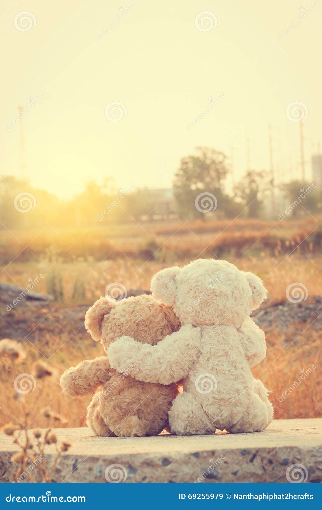 hugging teddy bears