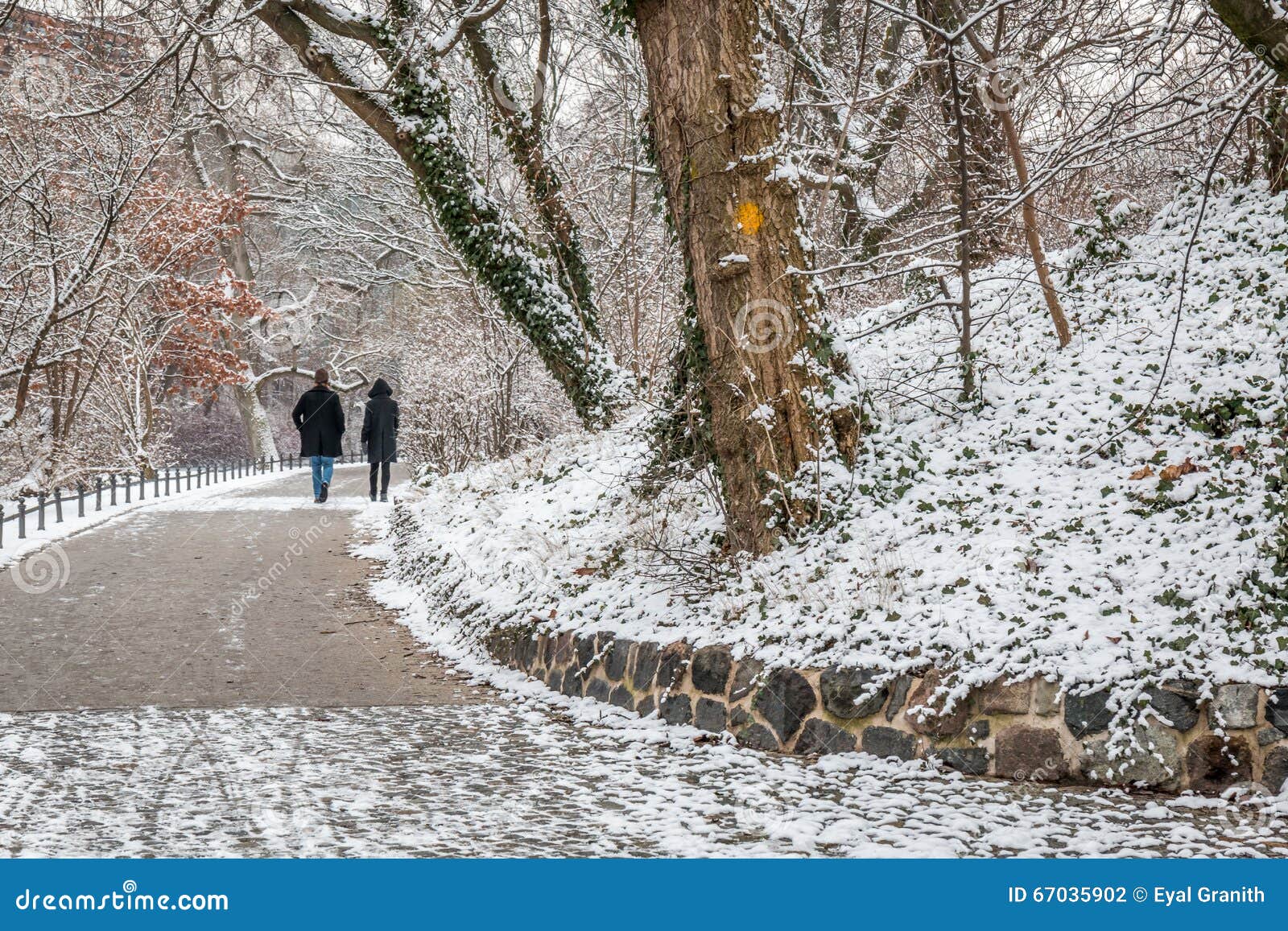 Couple in Love Walking in the Snow Stock Photo Image of landscape
