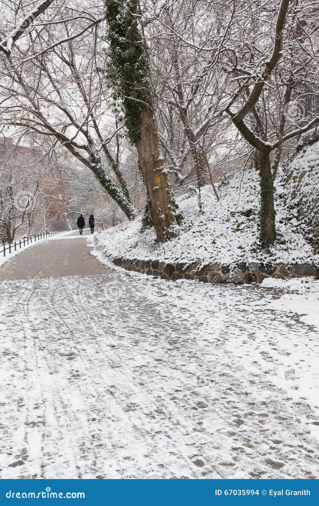 Couple in Love Walking in the Snow Stock Photo Image of snow, park