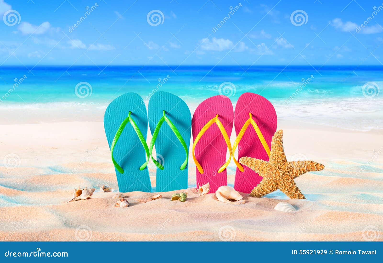 Couple Sandals and Shells on Sand Stock Image Image of flip, exotic