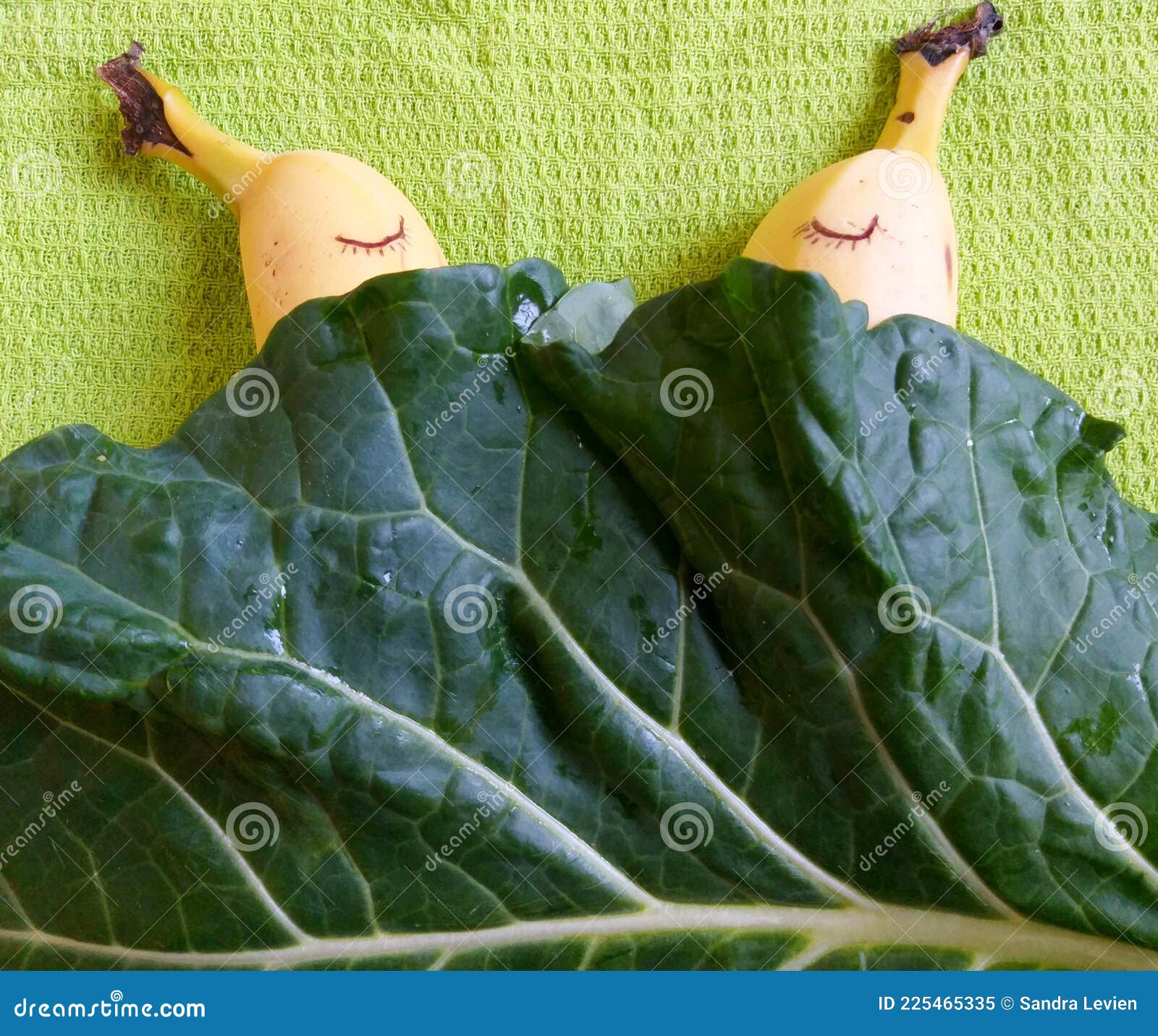 couple sleeping in bed covered with natural green leaf on ligth green background. sex education. funny bananas.