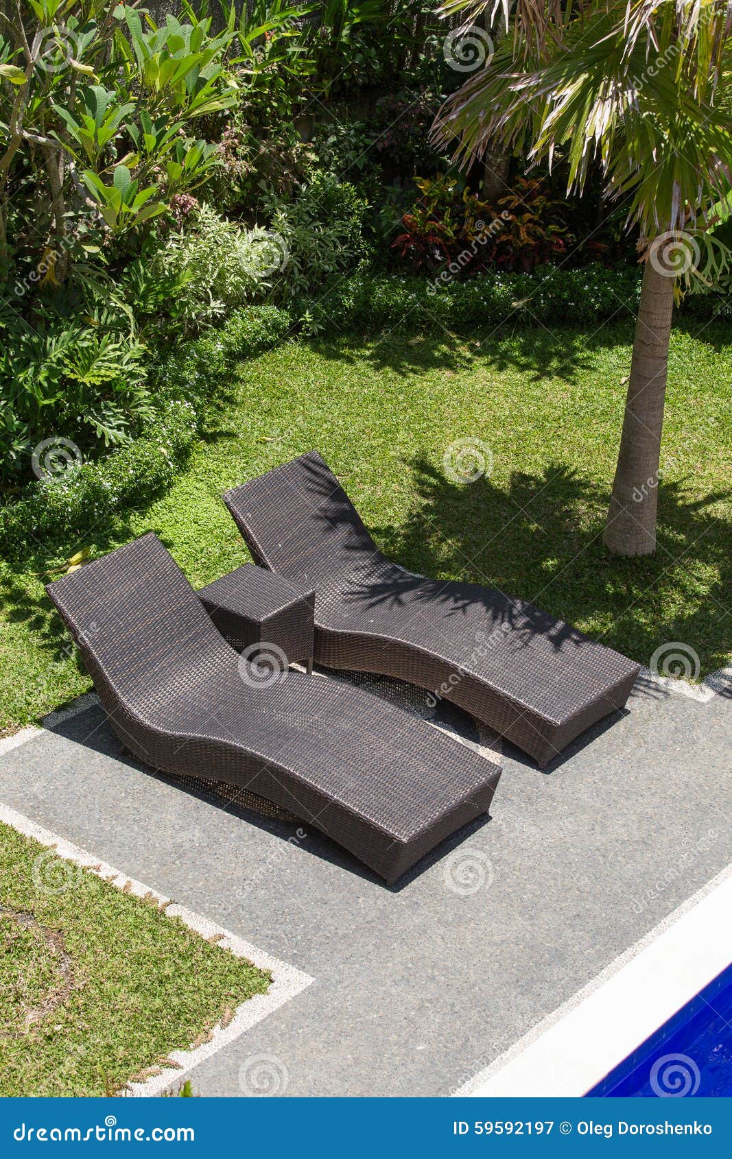 next sun loungers