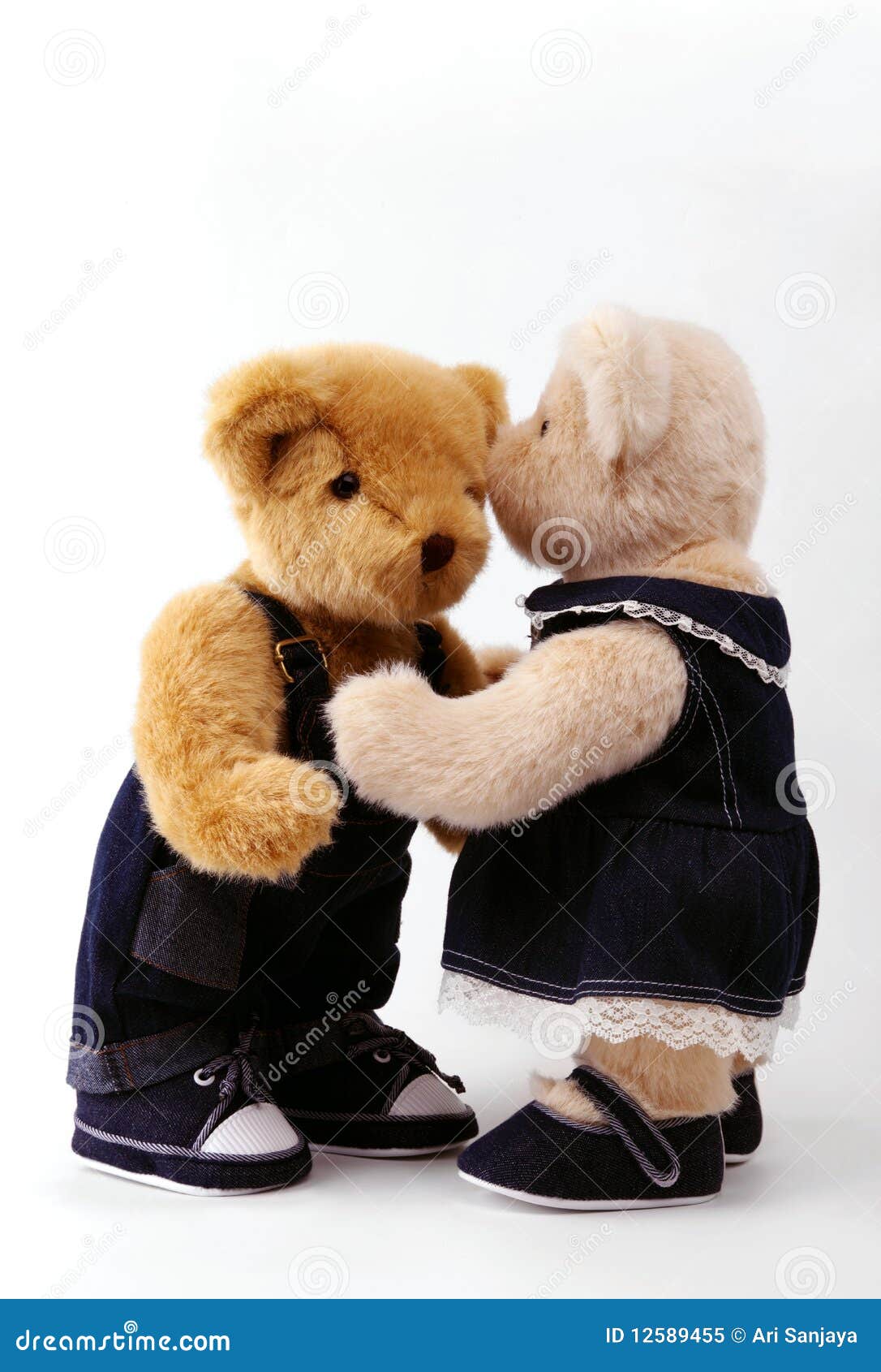 Couple of teddy bear stock image. Image of lover, wedded 12589455