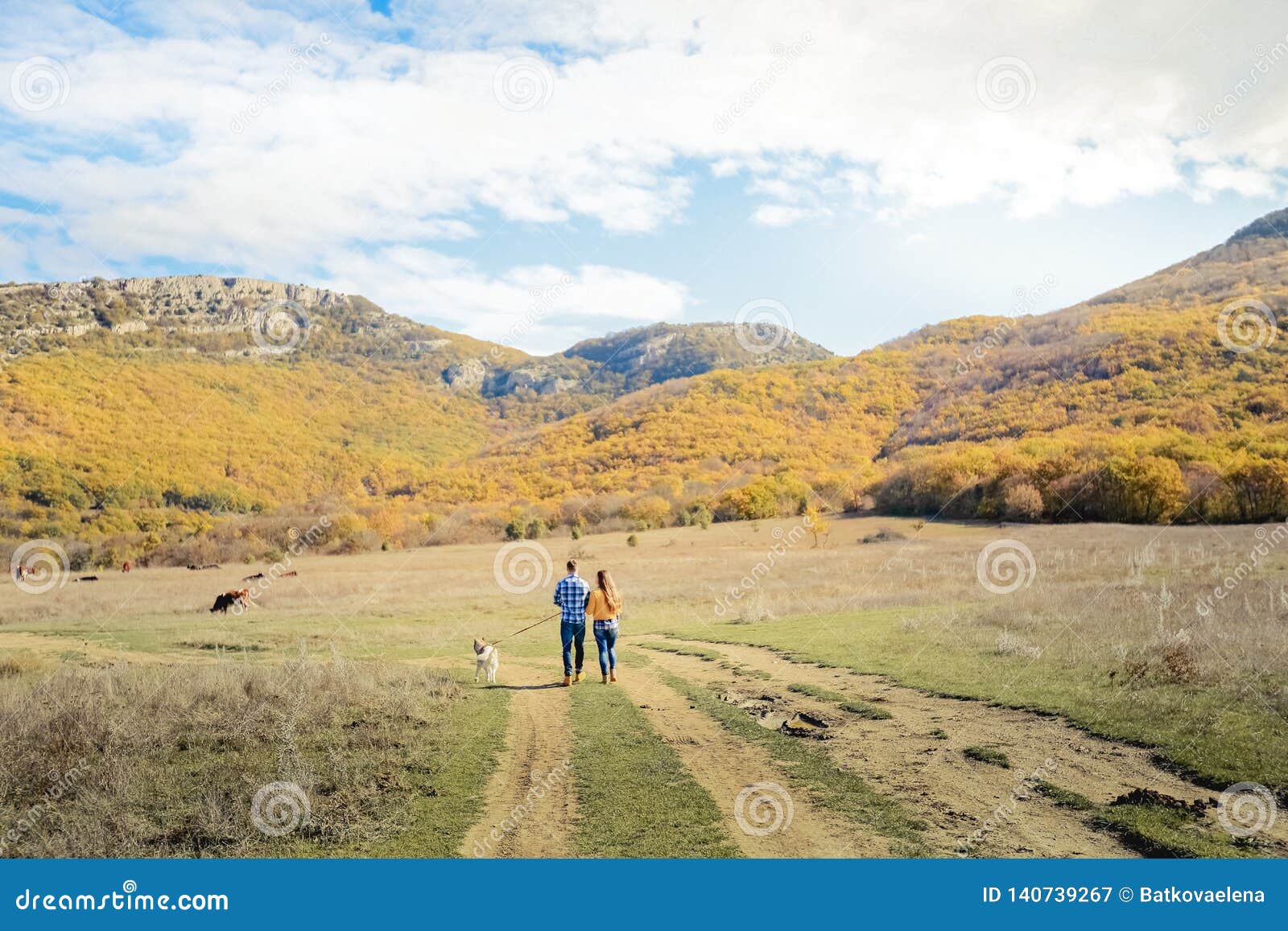 Couple Walk Retriever Dog Autumn Sunset Countryside Meadow Holding ...