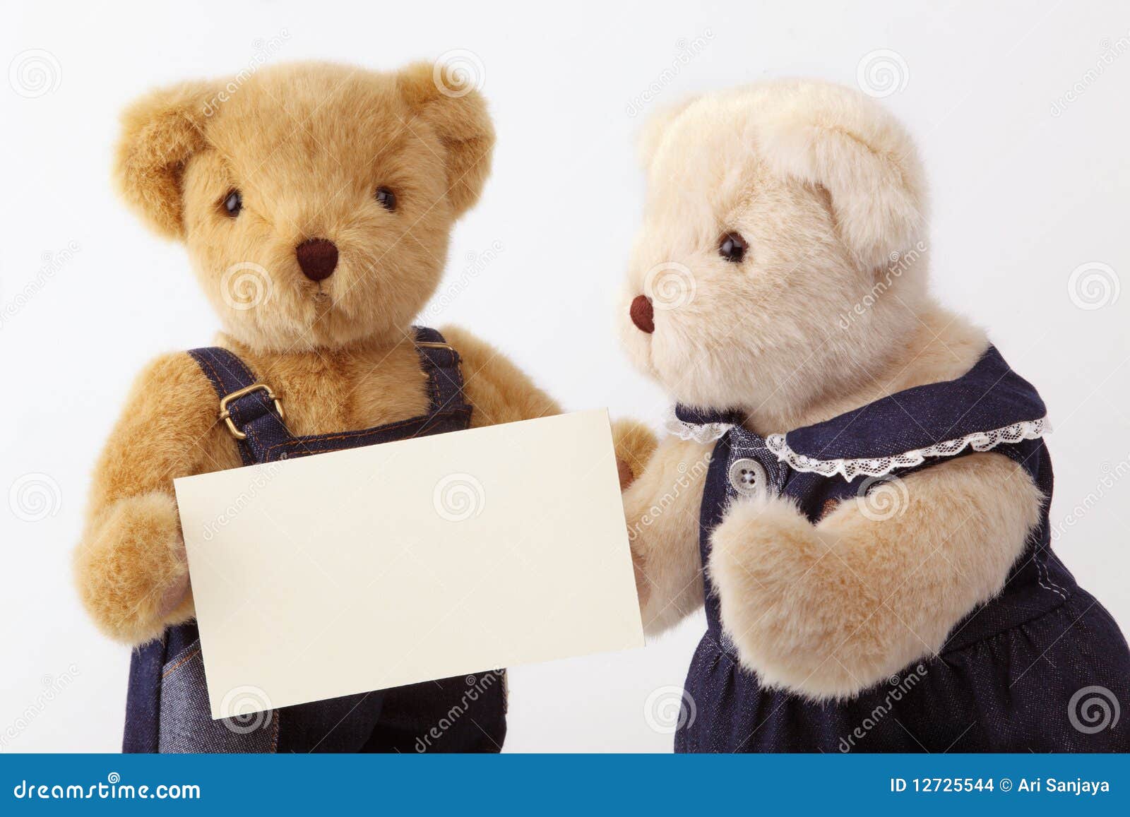 Couples Teddy Bear Stock Images Image 12725544