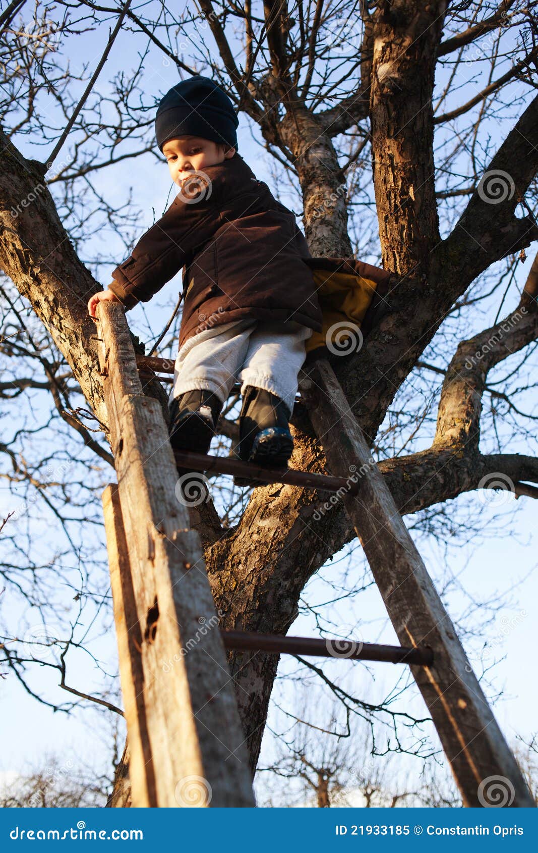 courageous child on ladder