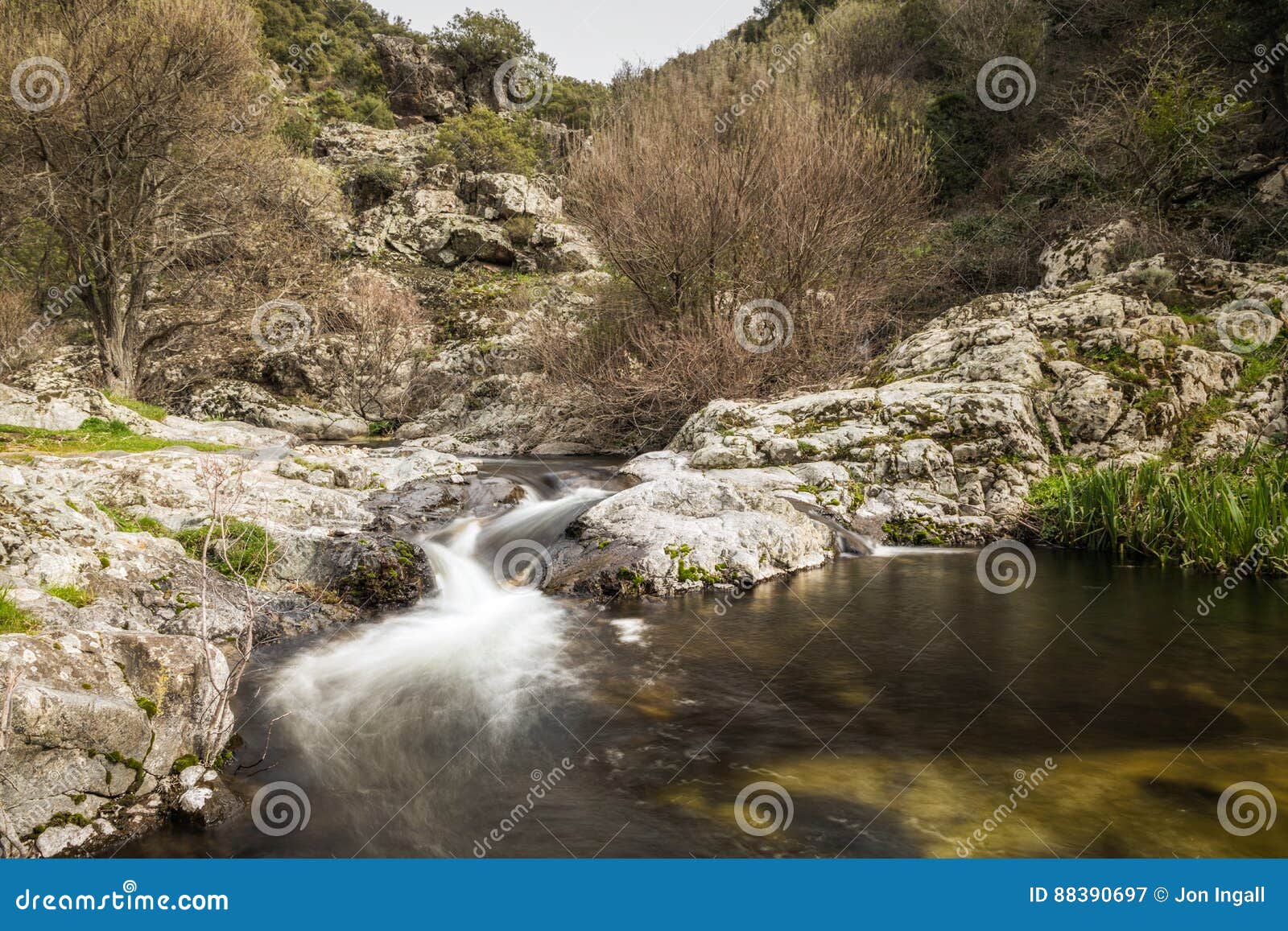 Courant De Montagne Cascadant Dans Une Piscine Naturelle En Corse