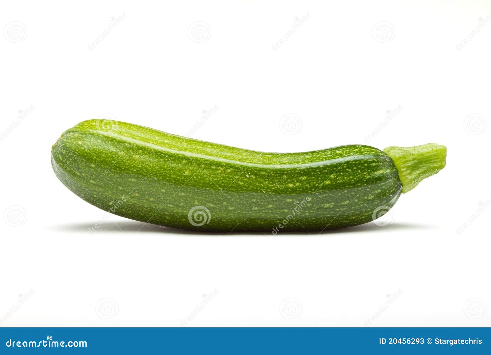 Courgette stock image. Image of nutritious, squash, gourd 20456293