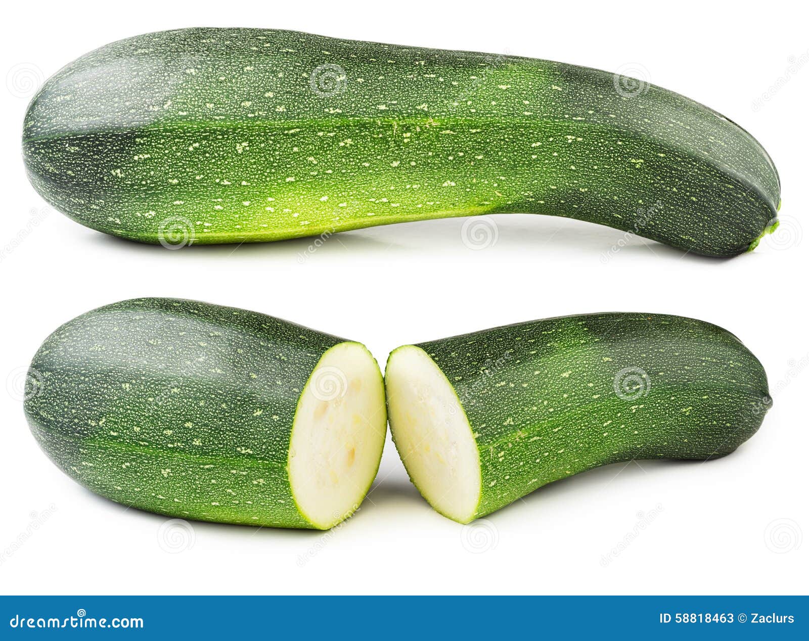 Courgette isolated stock image. Image of bone, gourd 58818463